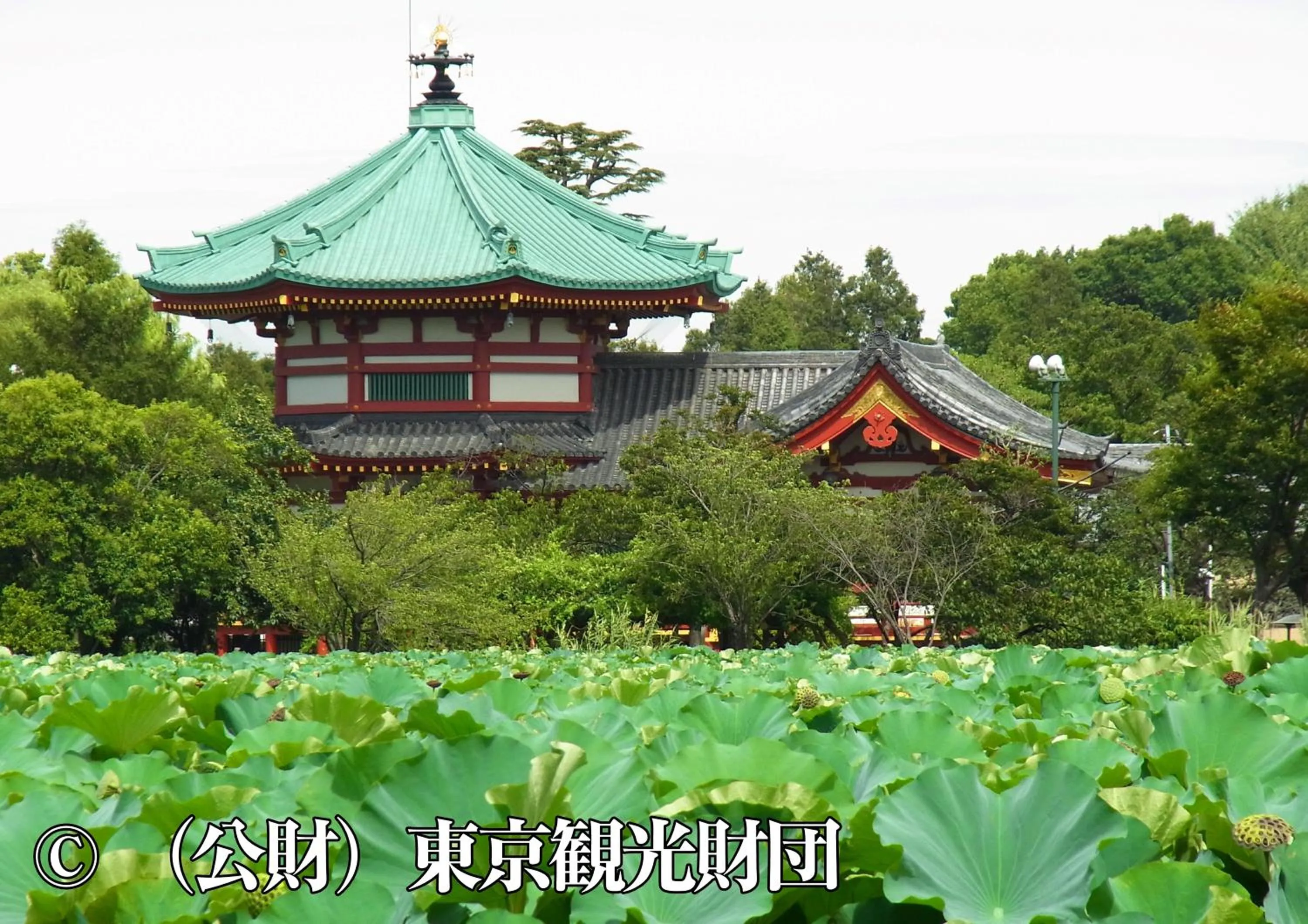 Nearby landmark in Hotel Wing International Select Ueno Okachimachi