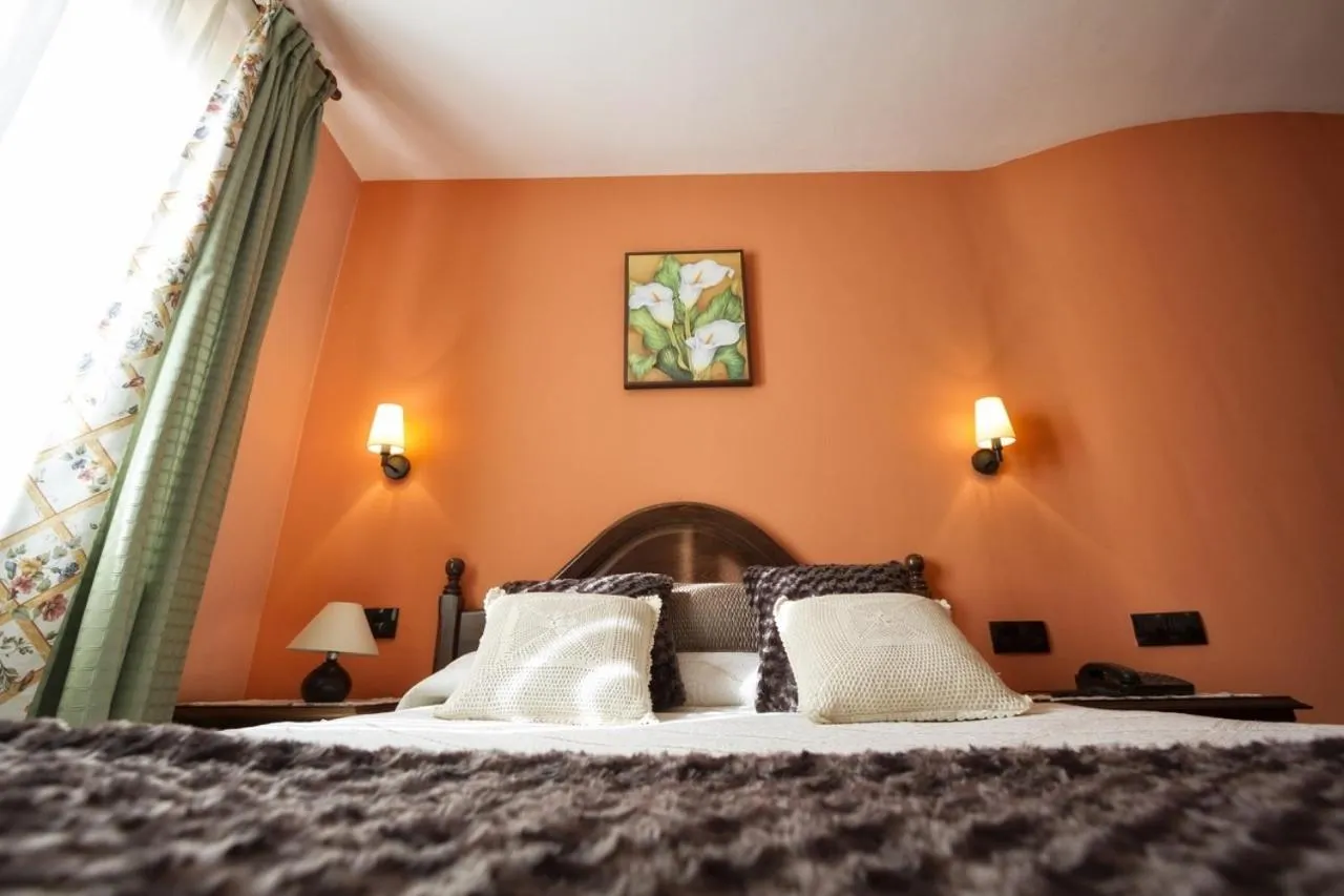 Double or Twin Room in Hotel La Ercina