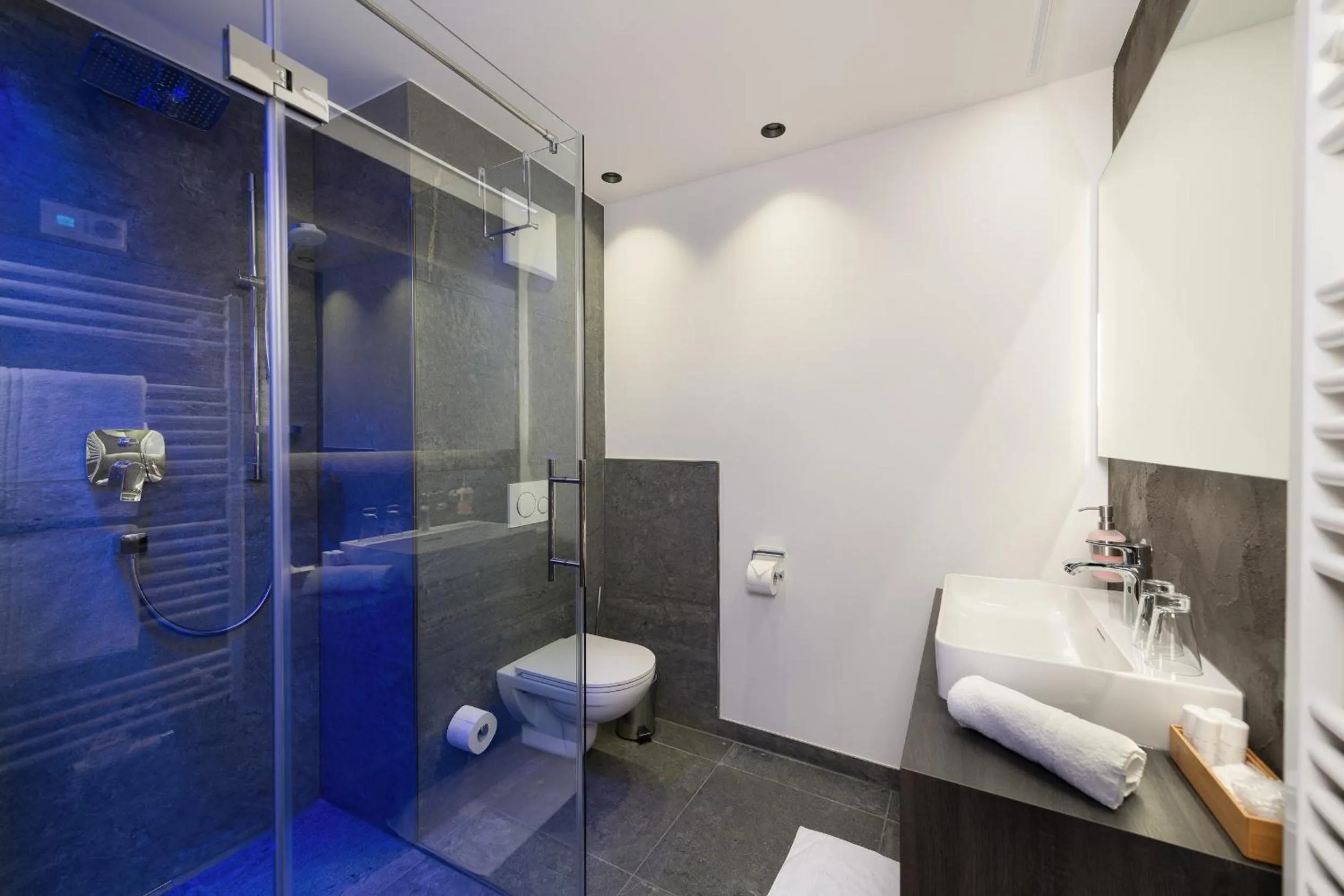 Bathroom in Hotel Alpina