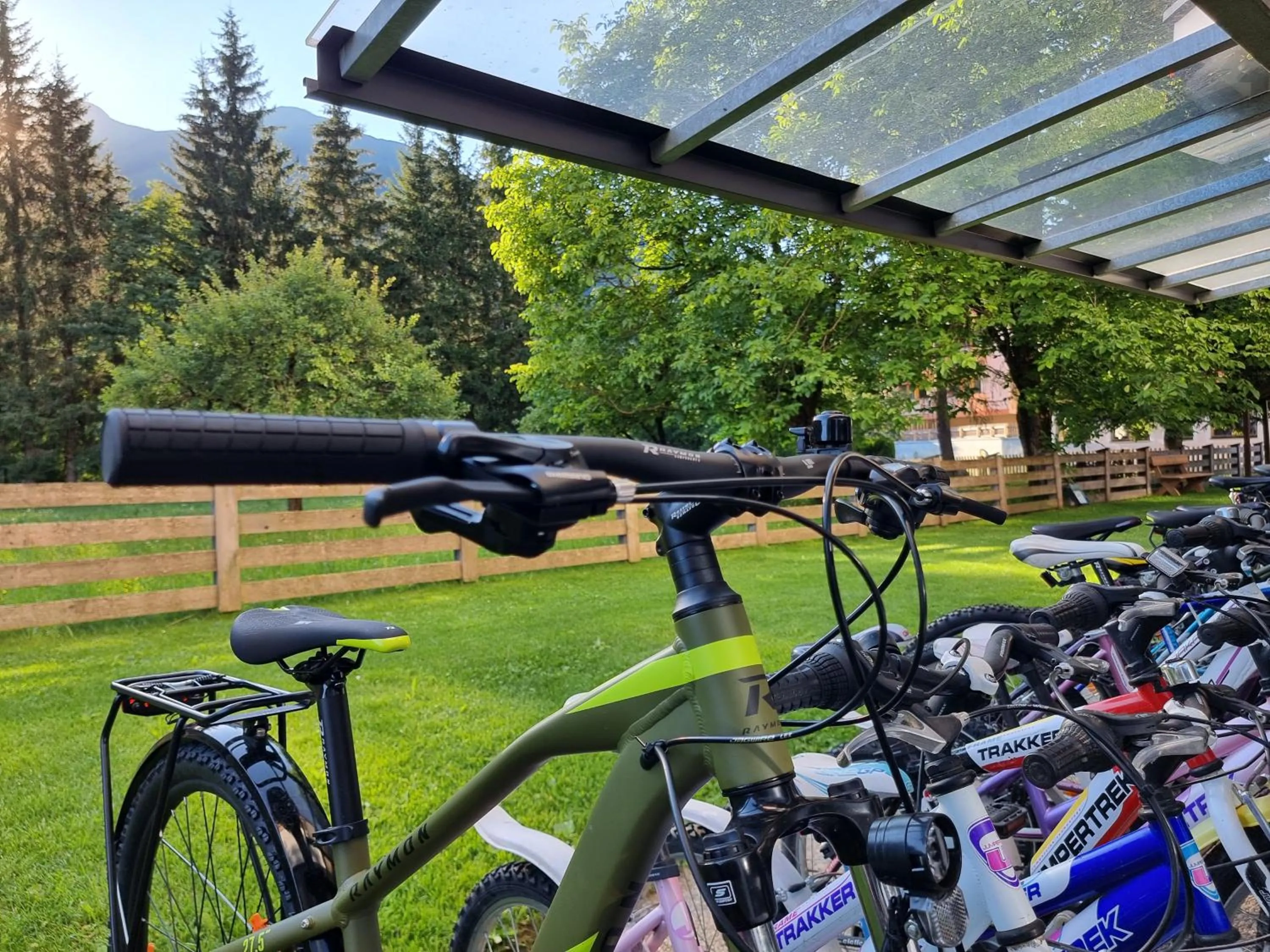 Activities in Hotel Alpina