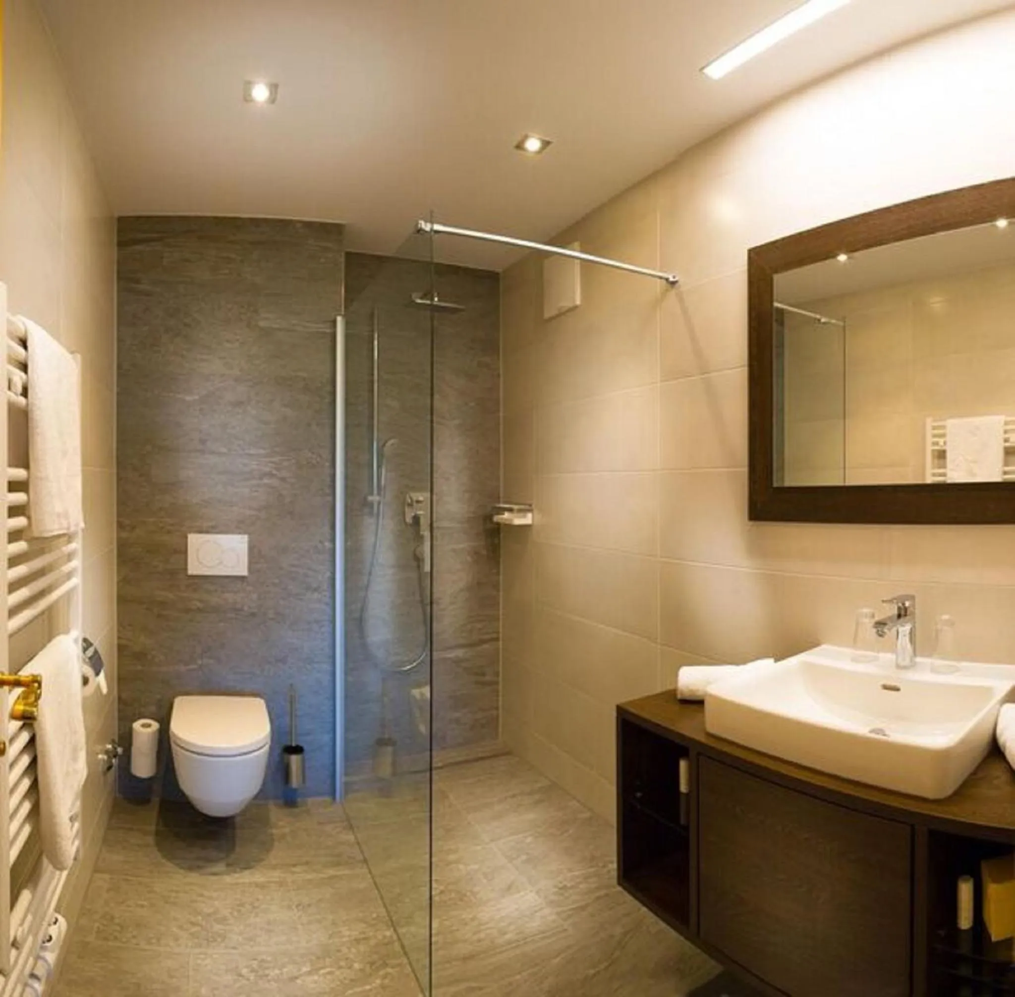 Other in Hotel Alpina