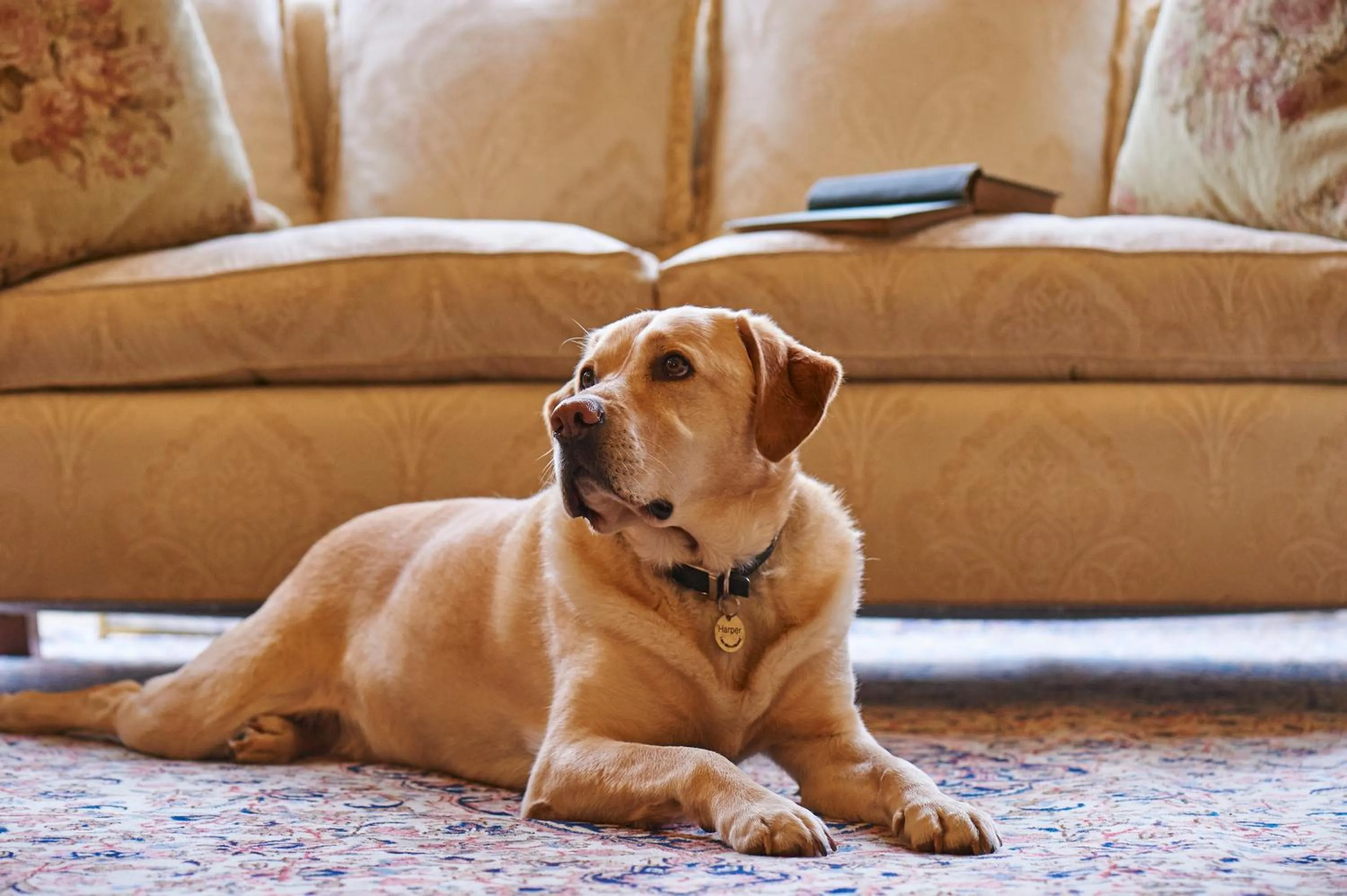 Lounge or bar in Palé Hall