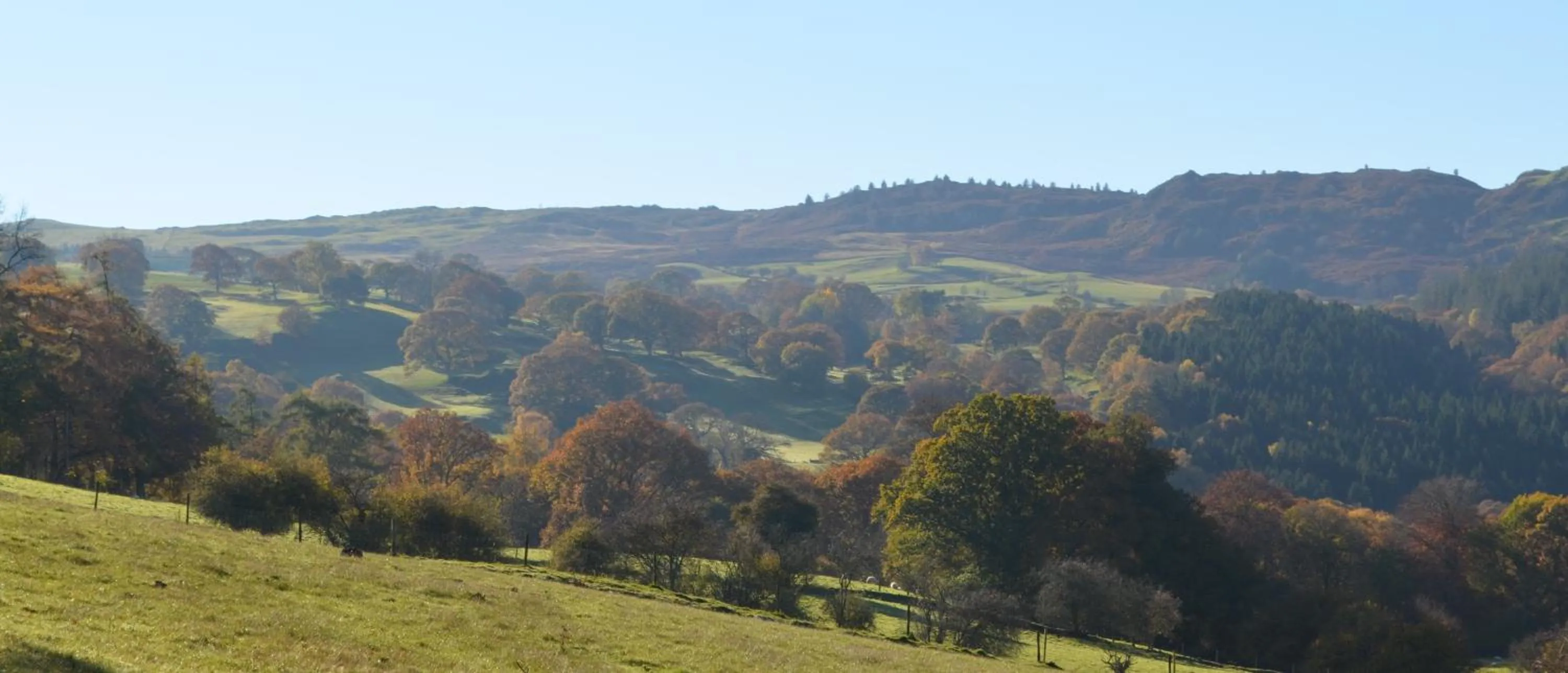 Natural landscape in Palé Hall
