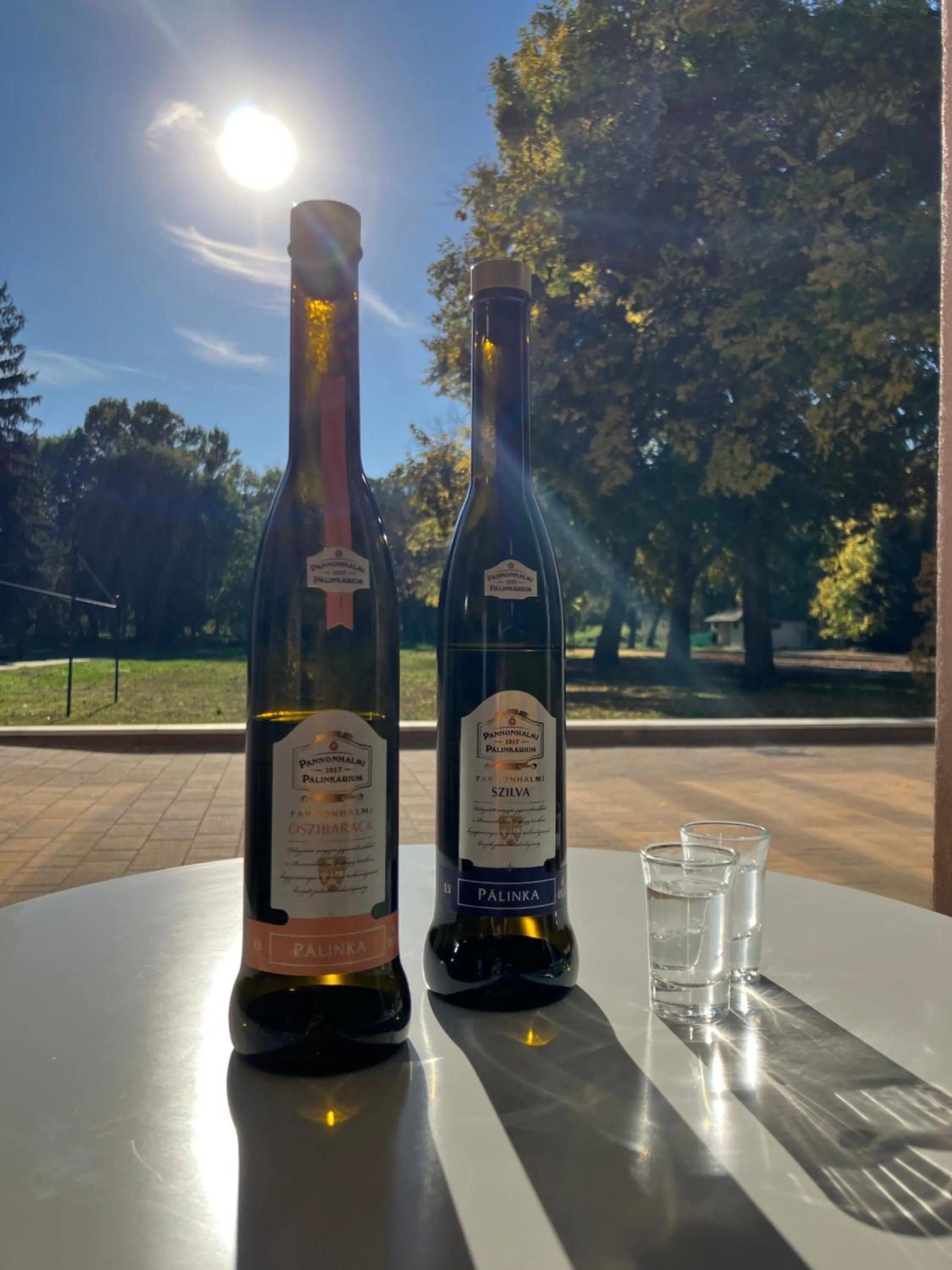 Lounge or bar in Öreg-tó Hotel és Rendezvénytér