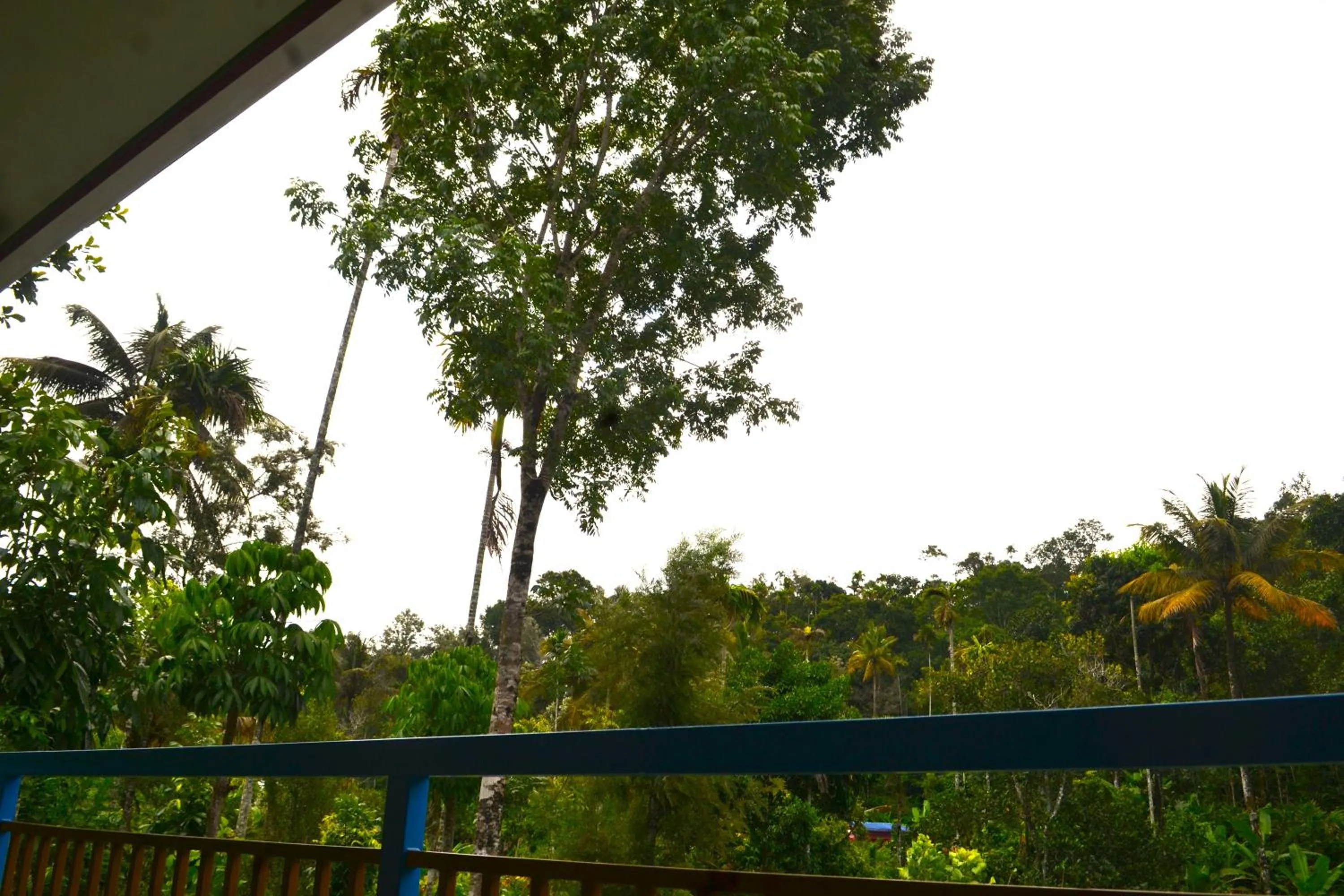 Natural landscape in Arabian Nights Munnar Pool Villa