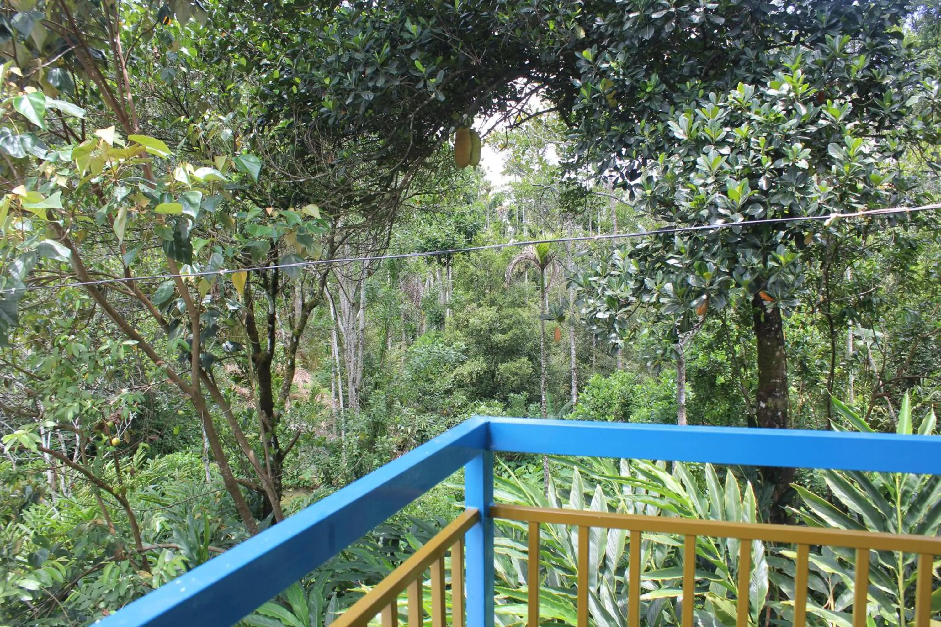 Natural landscape in Arabian Nights Munnar Pool Villa