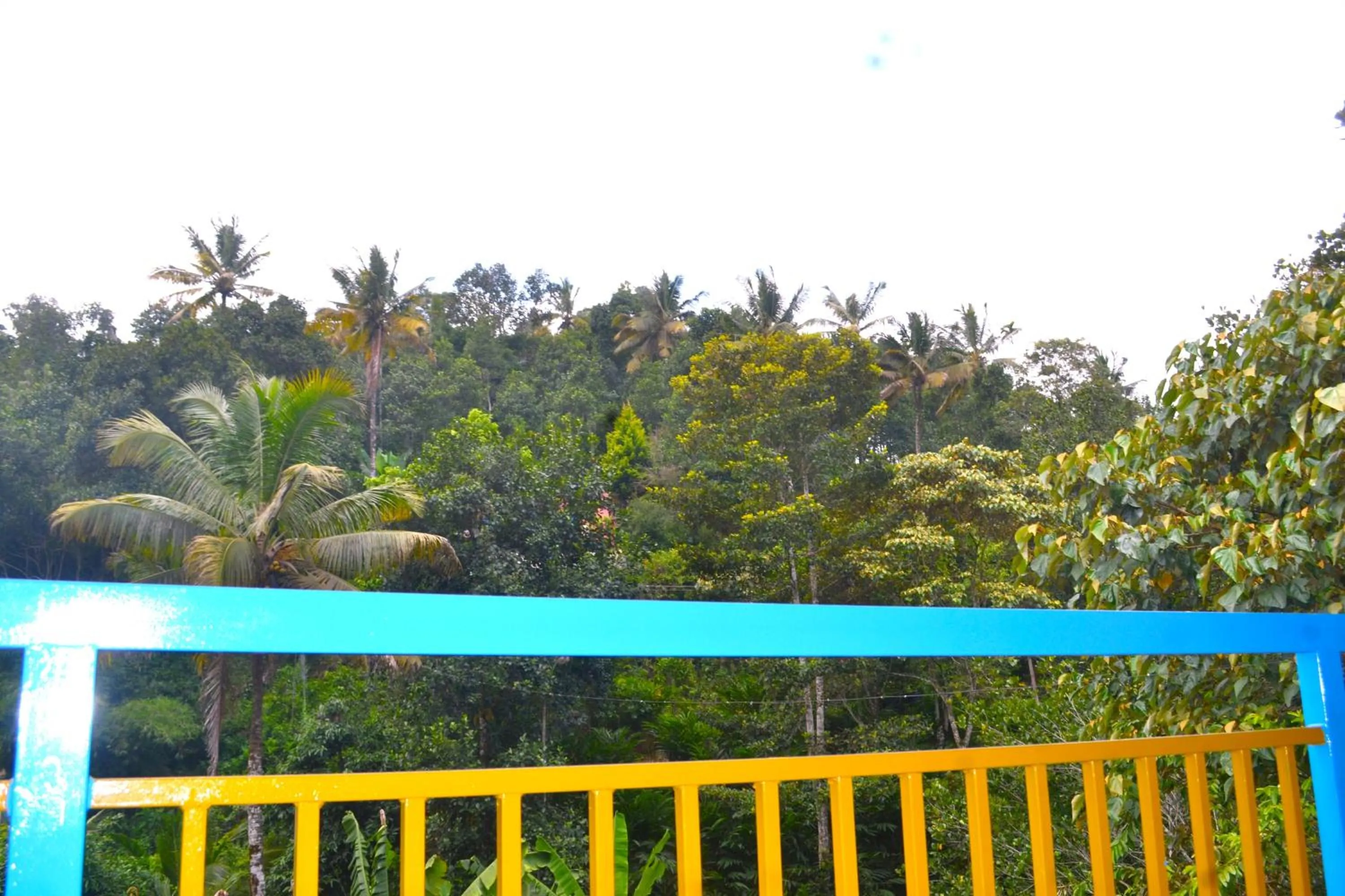 Natural landscape in Arabian Nights Munnar Pool Villa