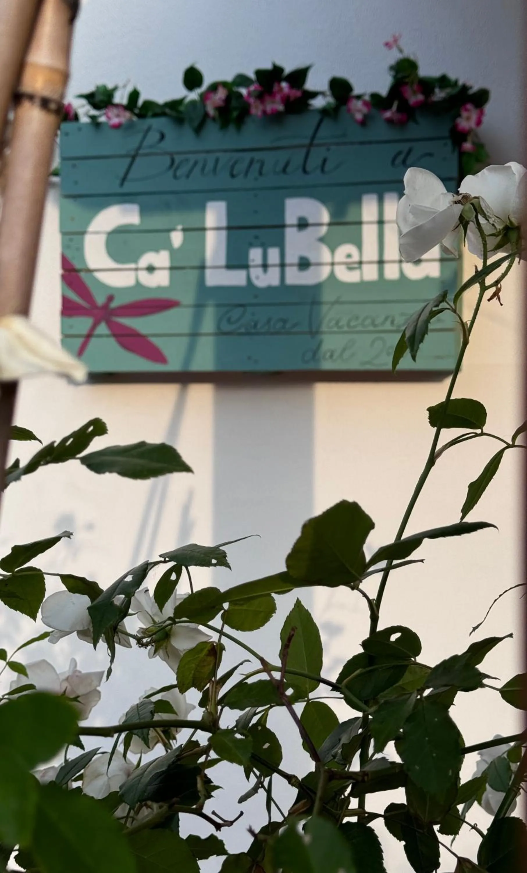 Property building in Ca LuBella