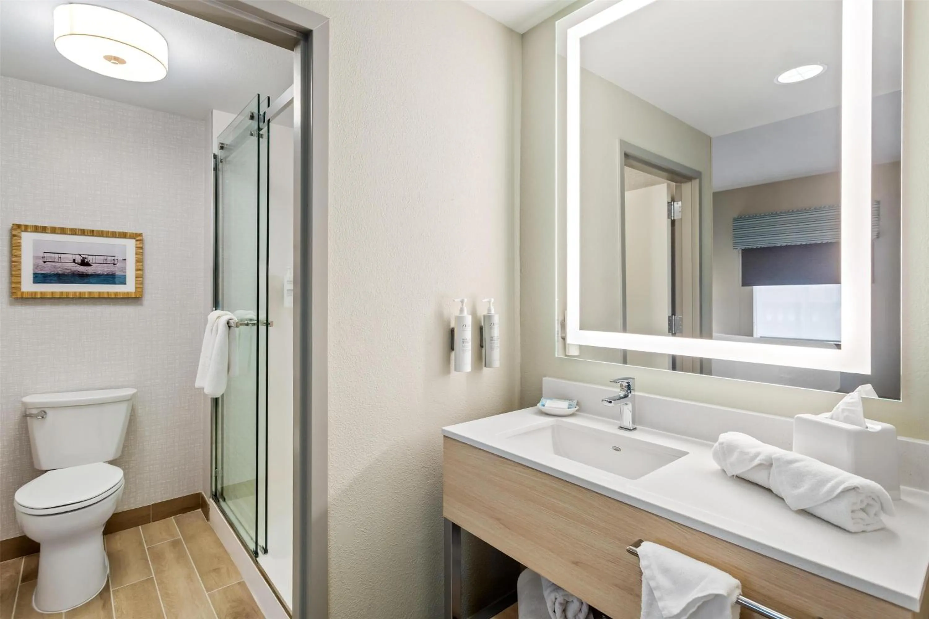 Bathroom in Hampton Inn & Suites St. Petersburg/Downtown