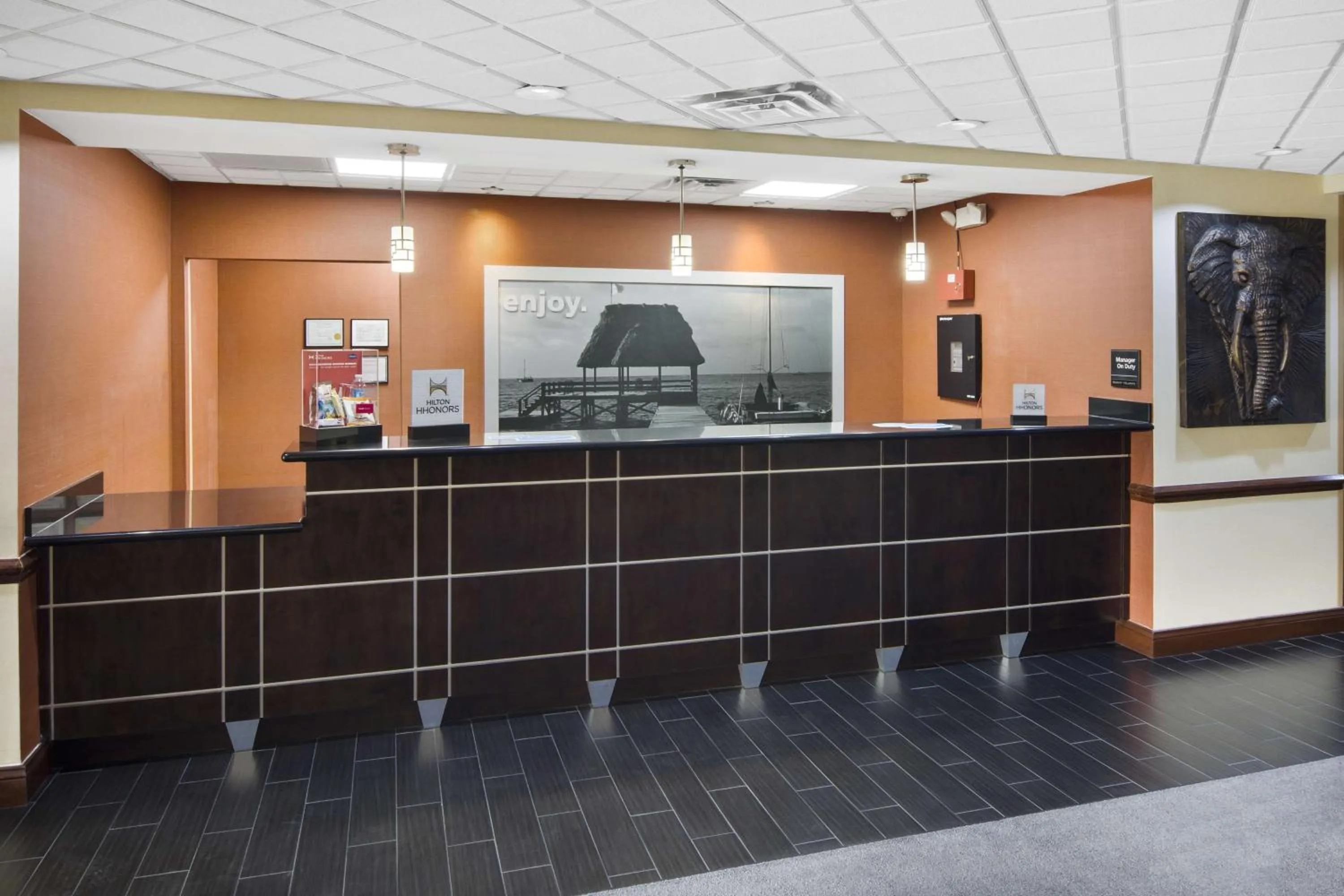 Lobby or reception in Hampton Inn Hinesville
