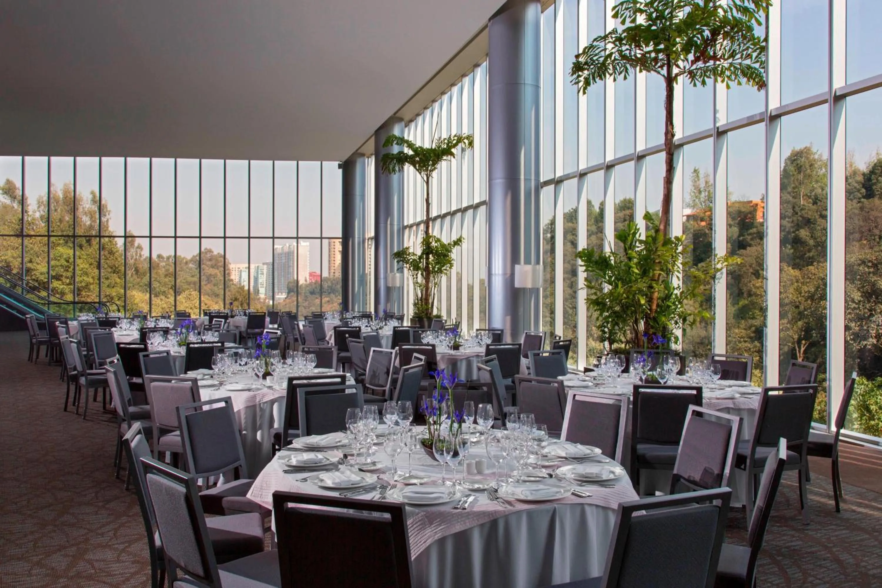 Meeting/conference room in The Westin Santa Fe, Mexico City