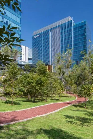 Club Corner, Club lounge access, Larger Guest room, 1 King in The Westin Santa Fe, Mexico City