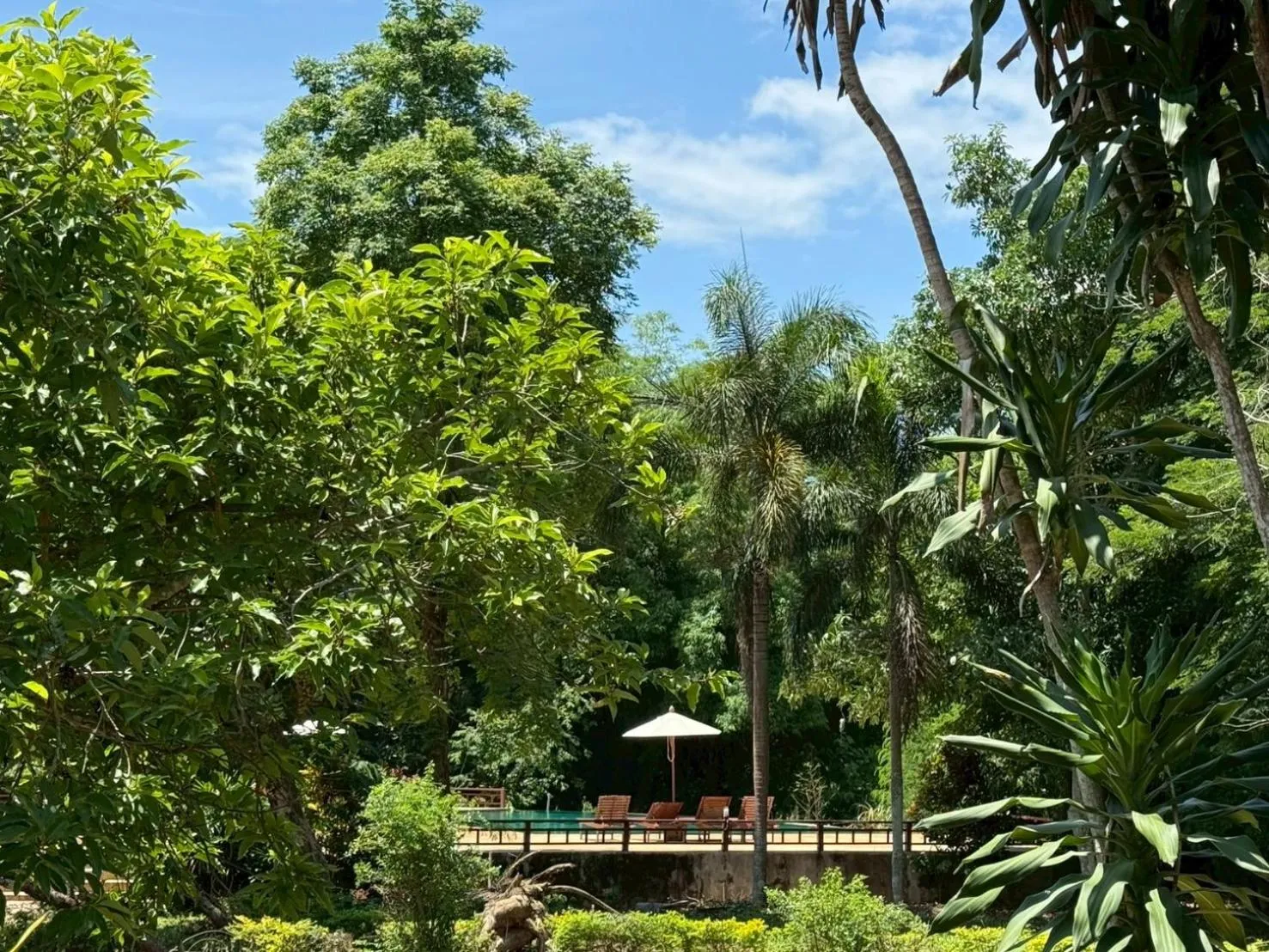 Garden in Baan Krating Pai Resort - SHA Plus