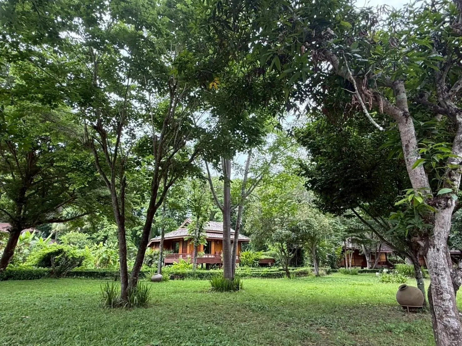 Natural landscape in Baan Krating Pai Resort - SHA Plus