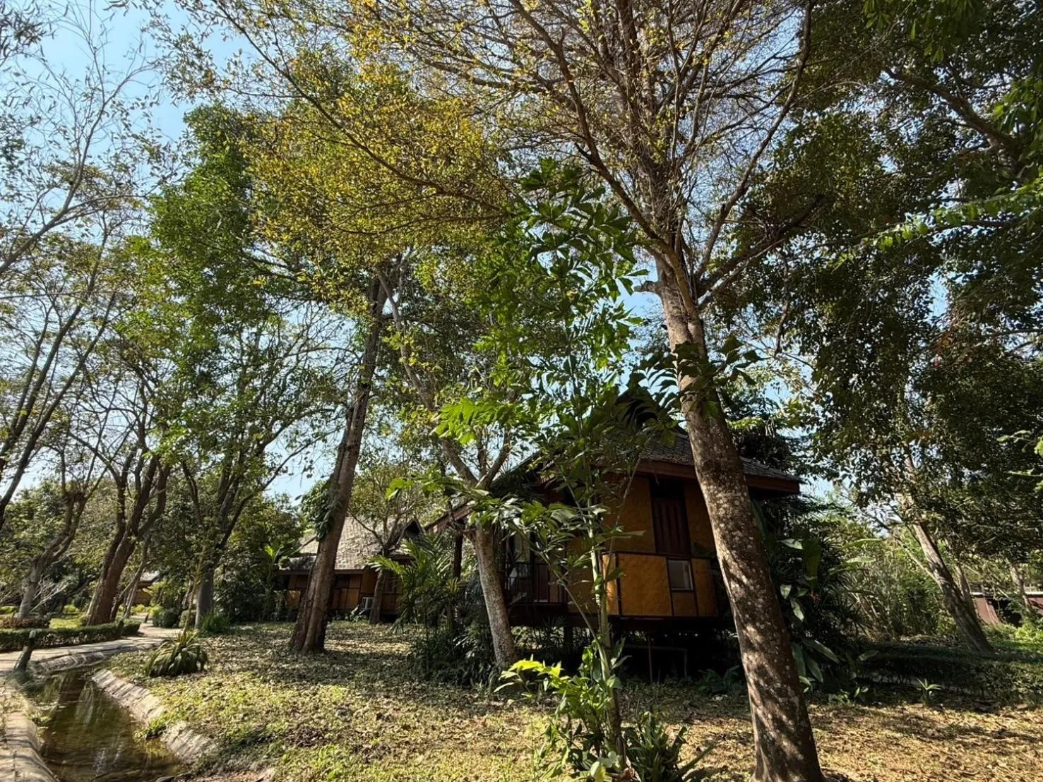 Property building in Baan Krating Pai Resort - SHA Plus