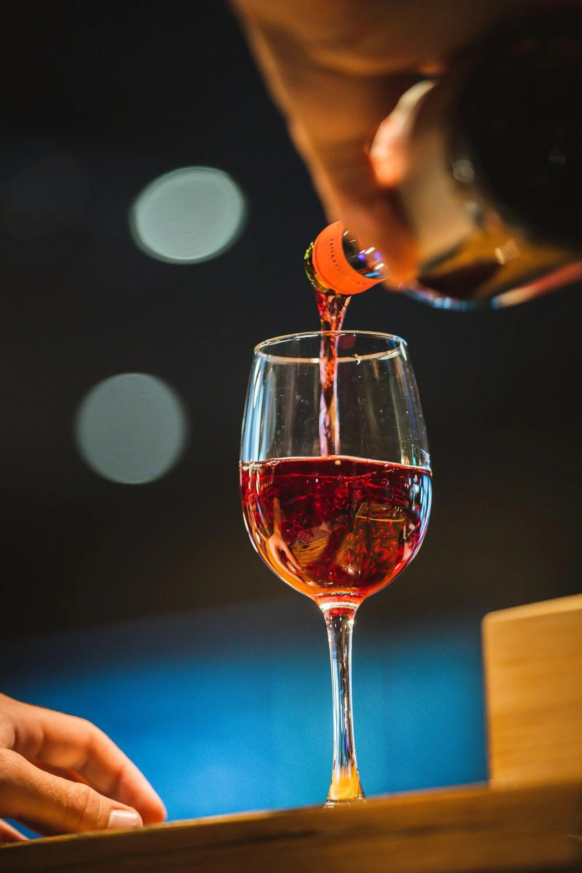 Lounge or bar in Hotel Launceston