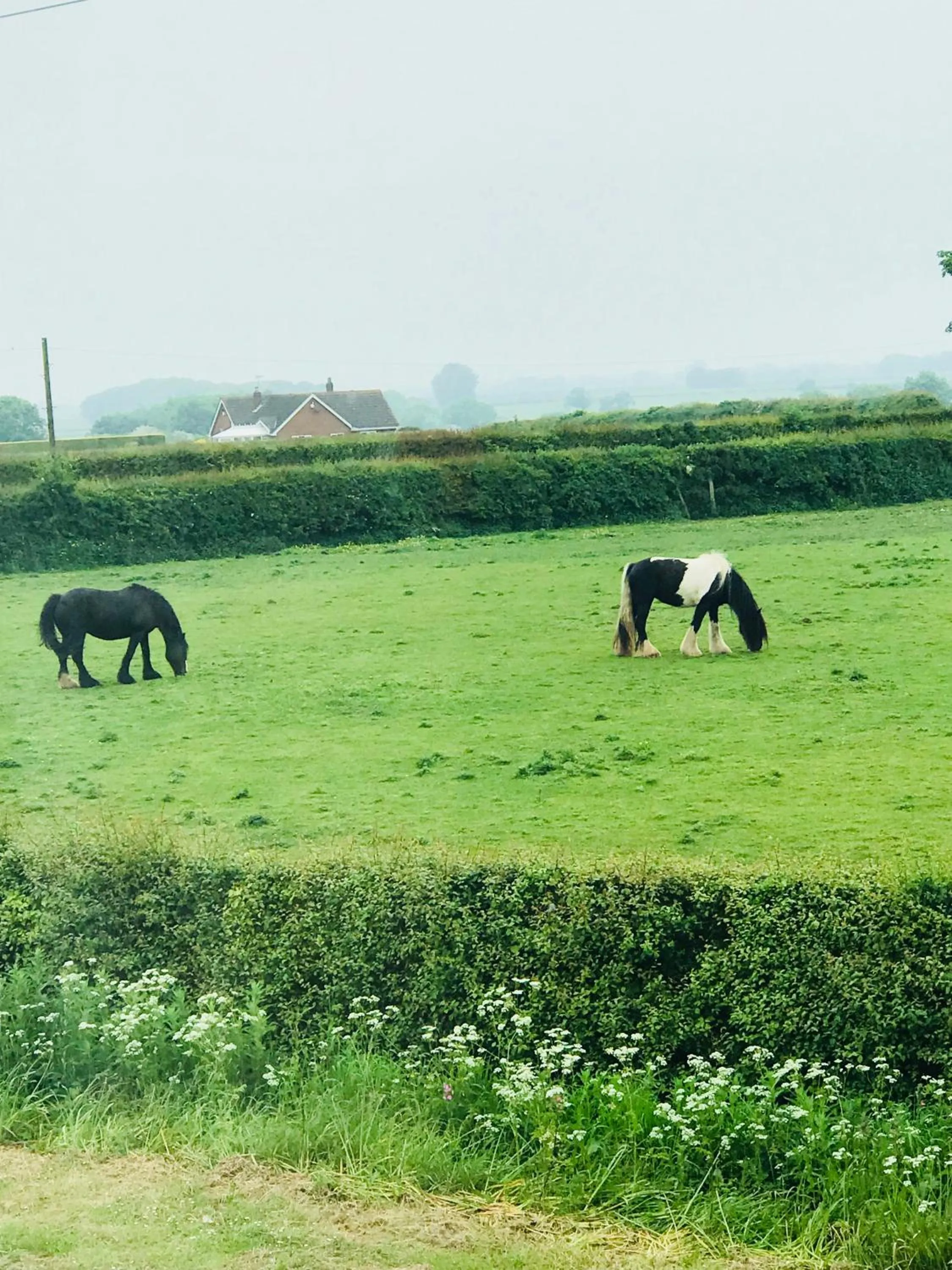 Natural landscape in The Railway Inn
