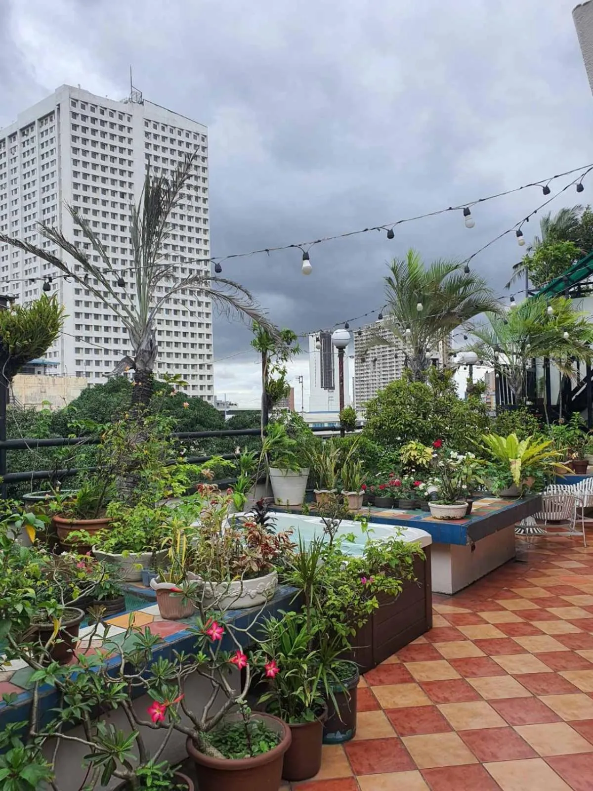 Garden in Stone House Quezon City