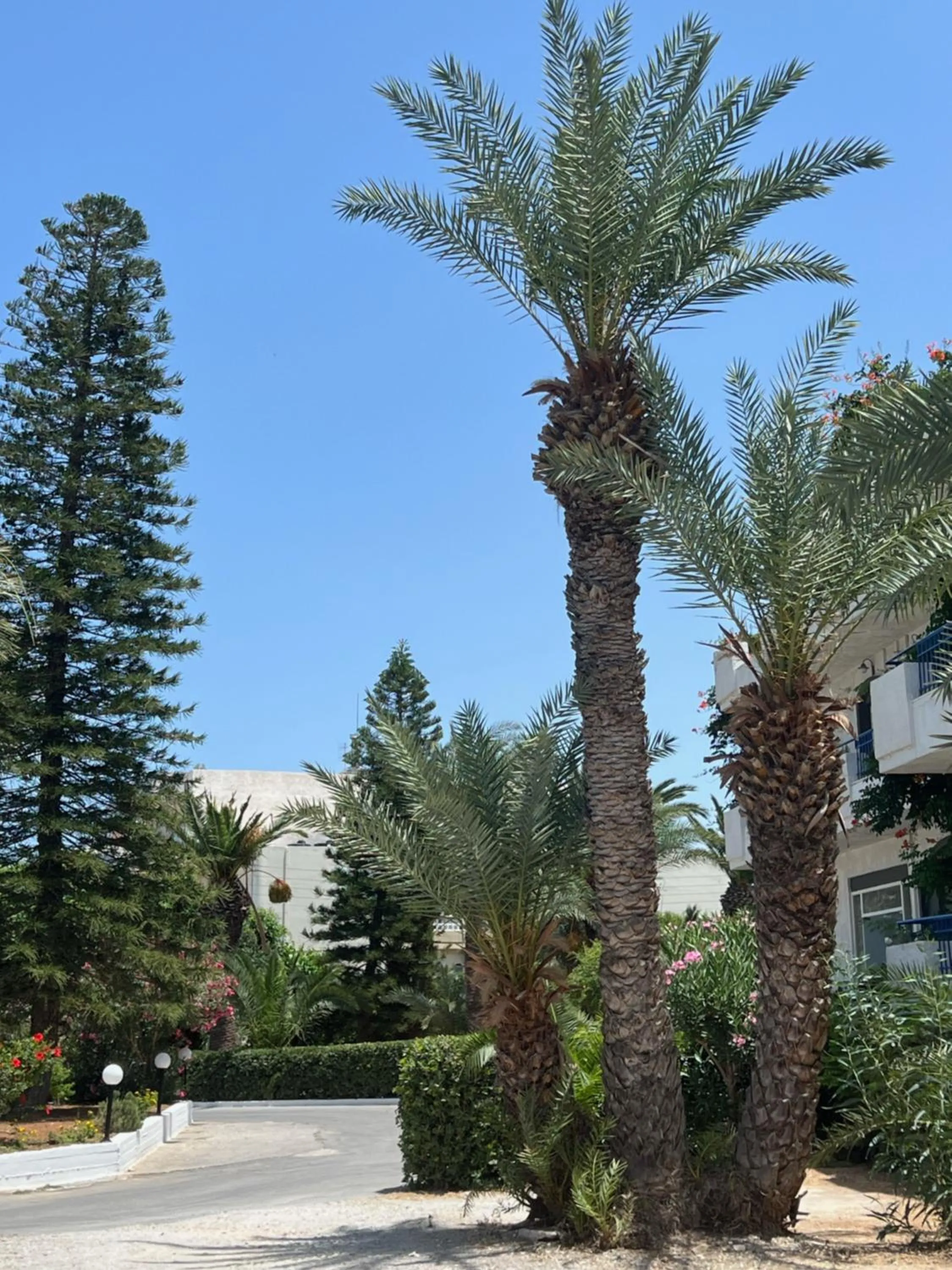 Garden in Gorgona Hotel