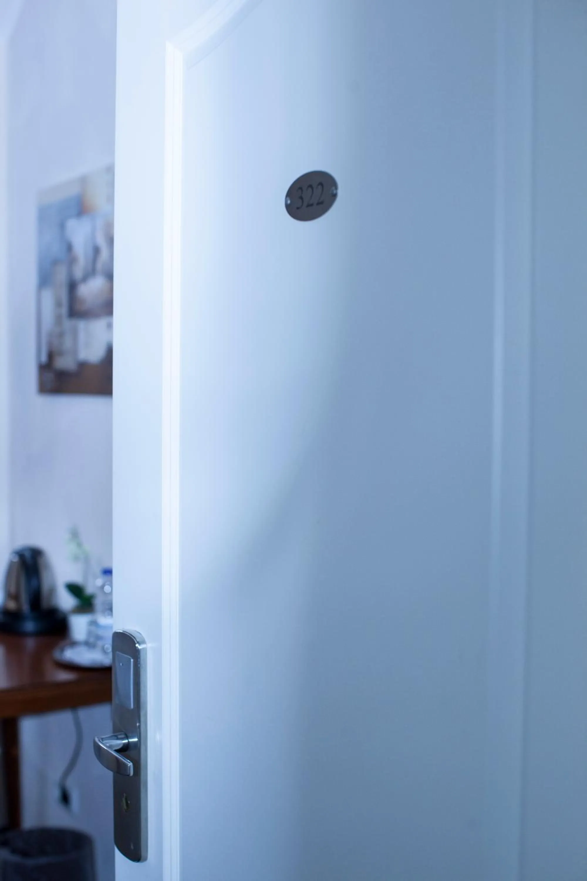 Decorative detail in Hotel Baden