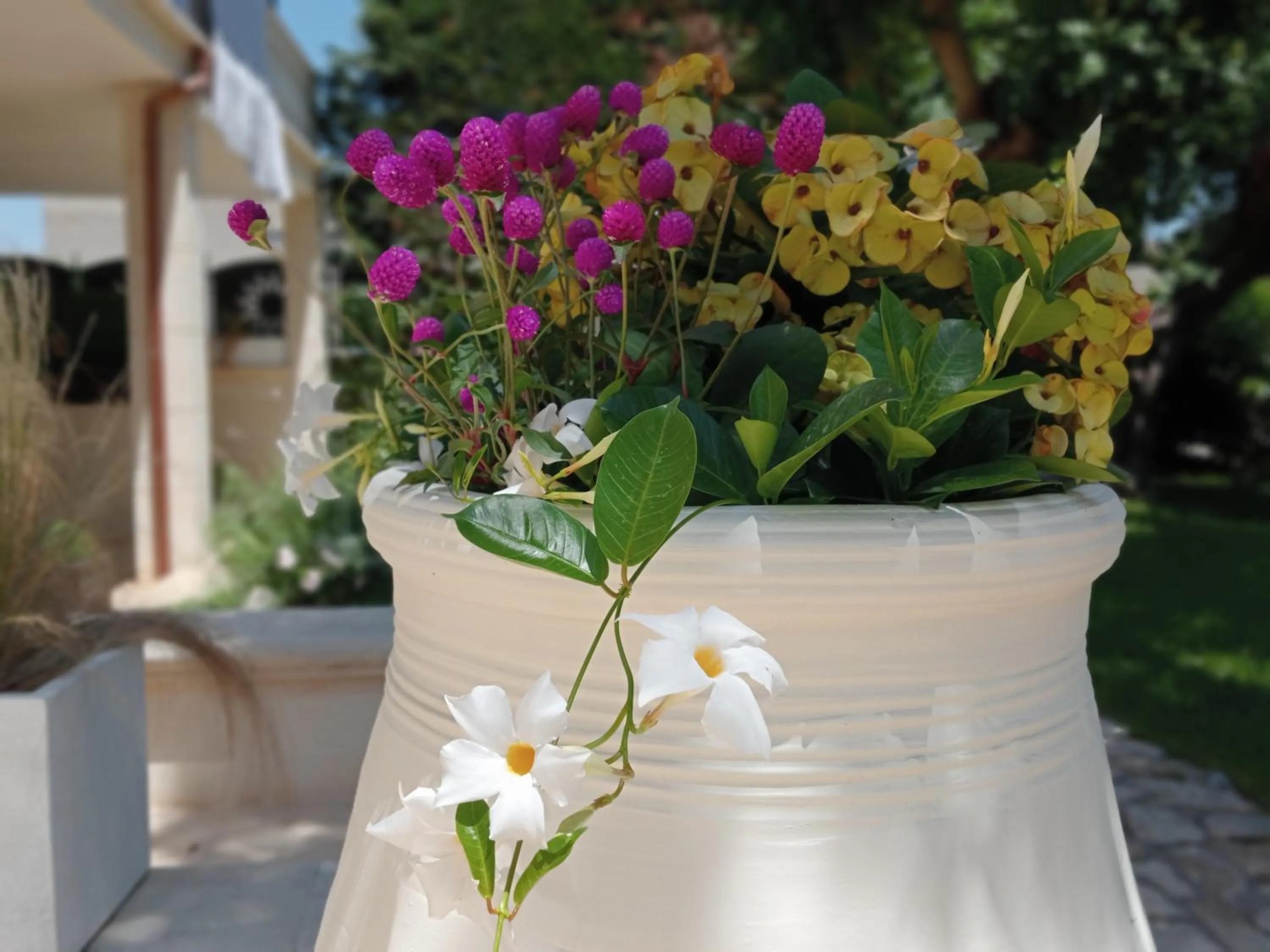 Garden in Vigne Vecchie