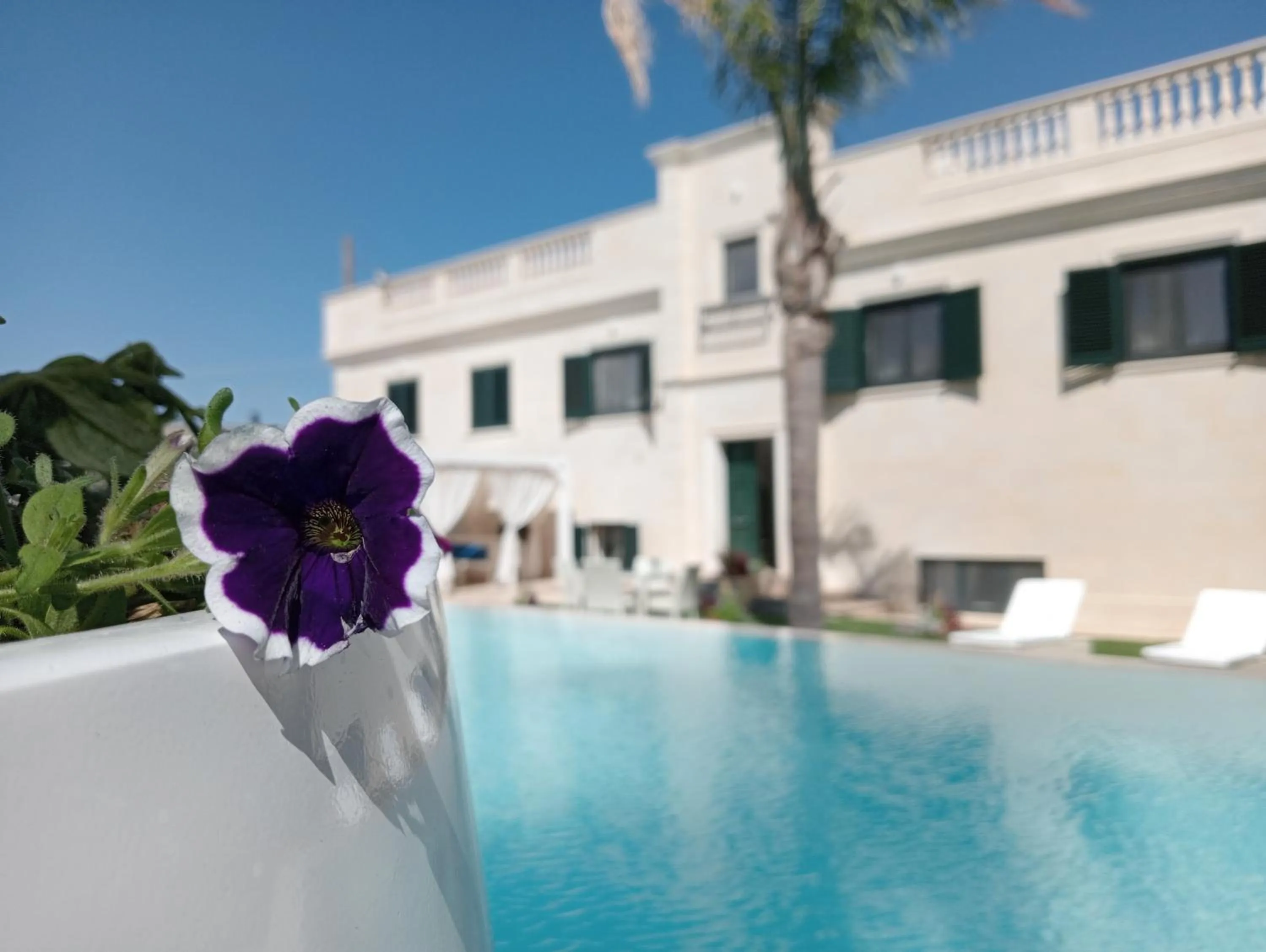 Pool view in Vigne Vecchie