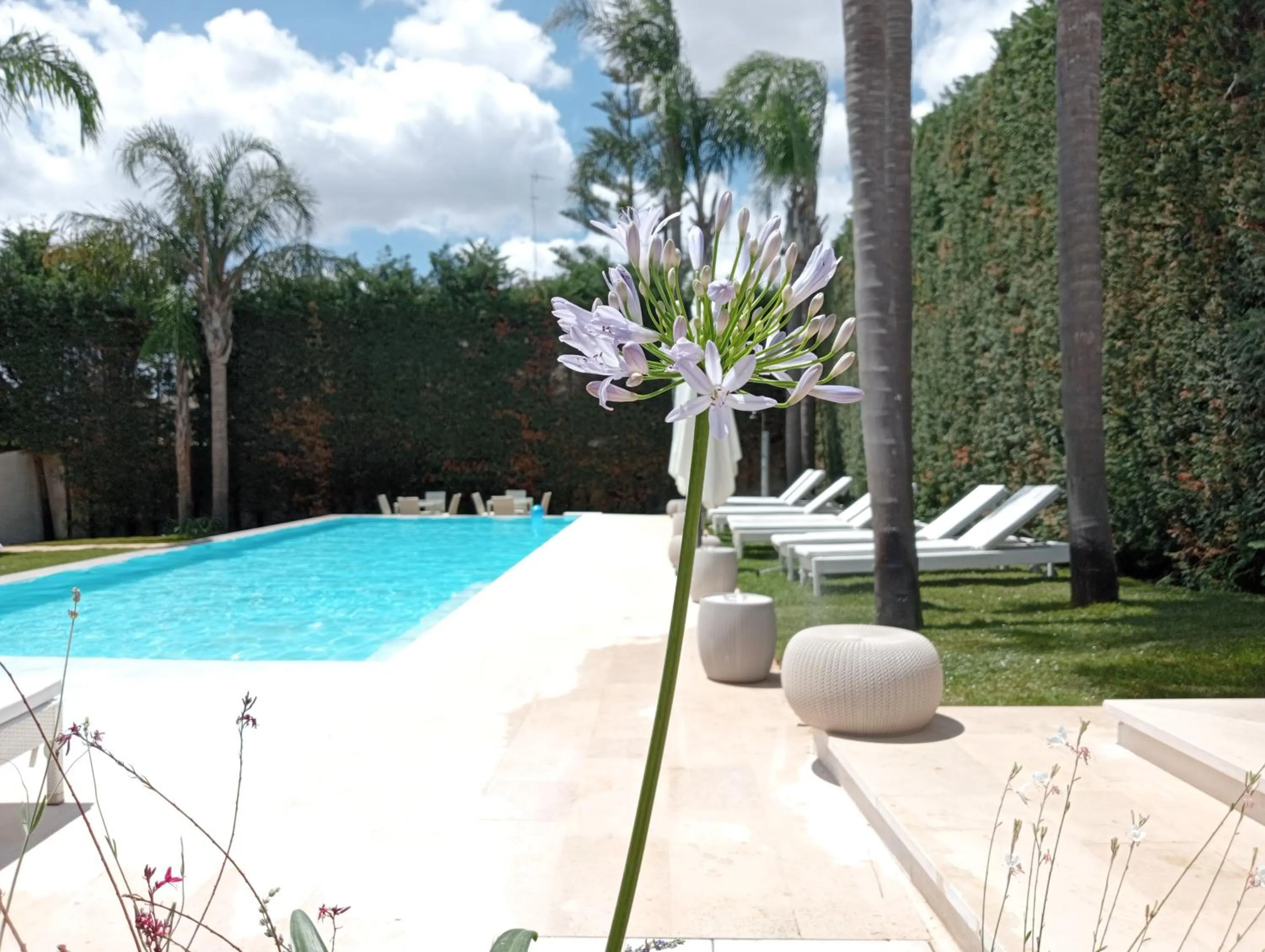 Day in Vigne Vecchie