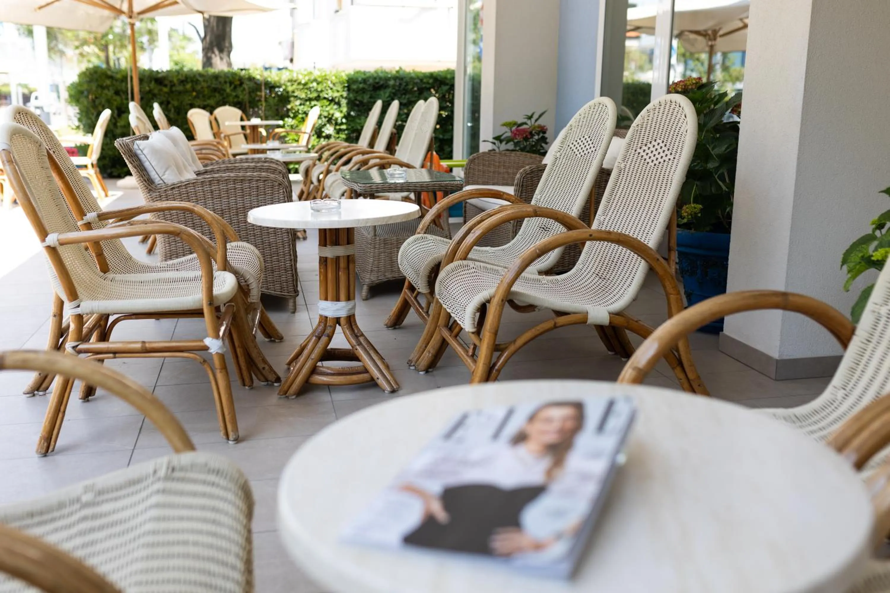 Garden in Hotel Cigno D'Oro