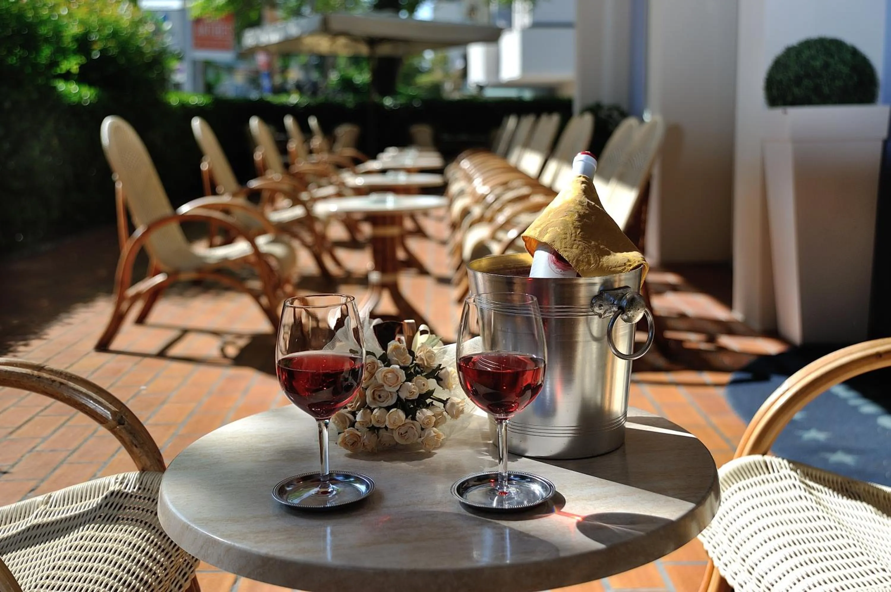 Garden in Hotel Cigno D'Oro