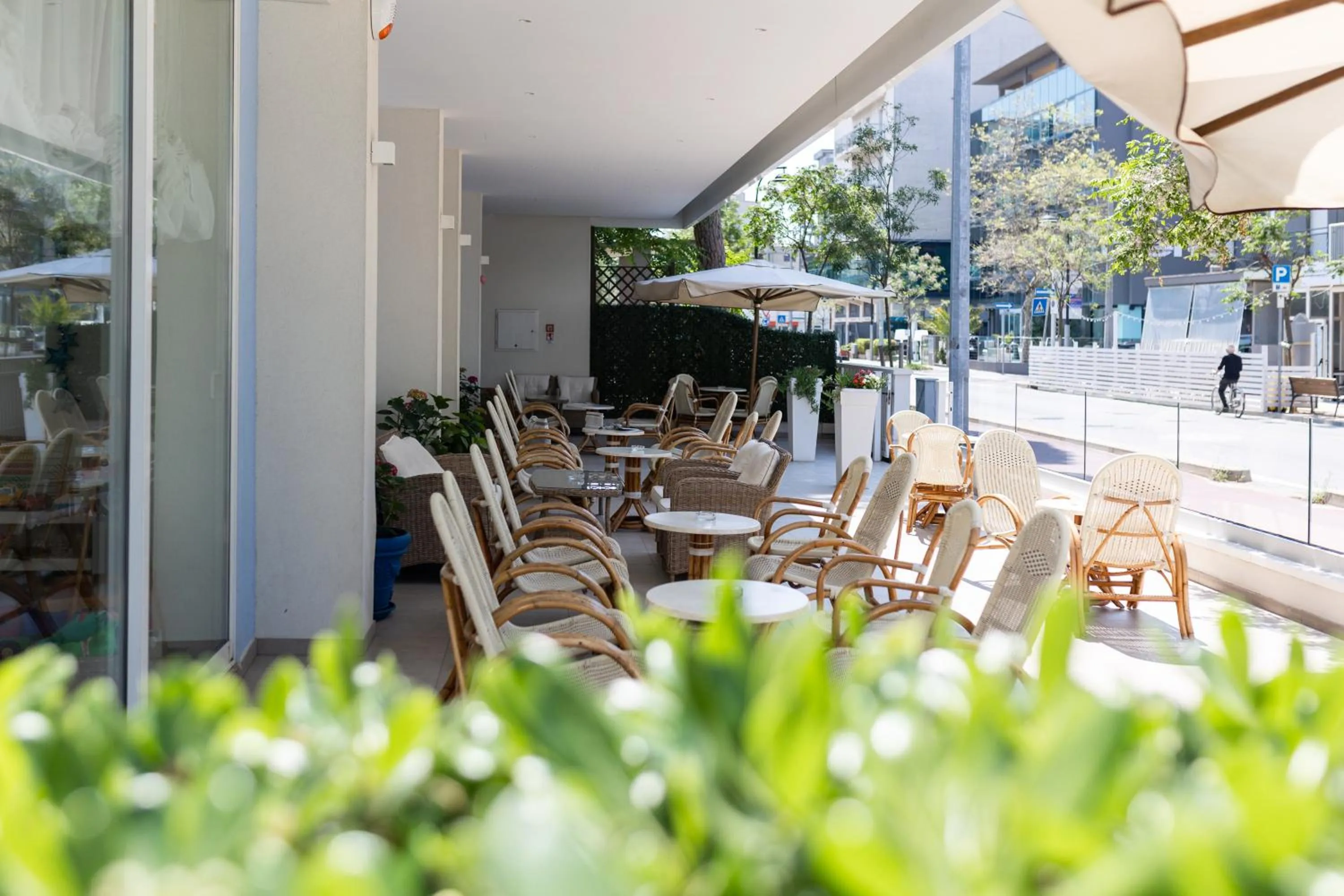 Garden in Hotel Cigno D'Oro