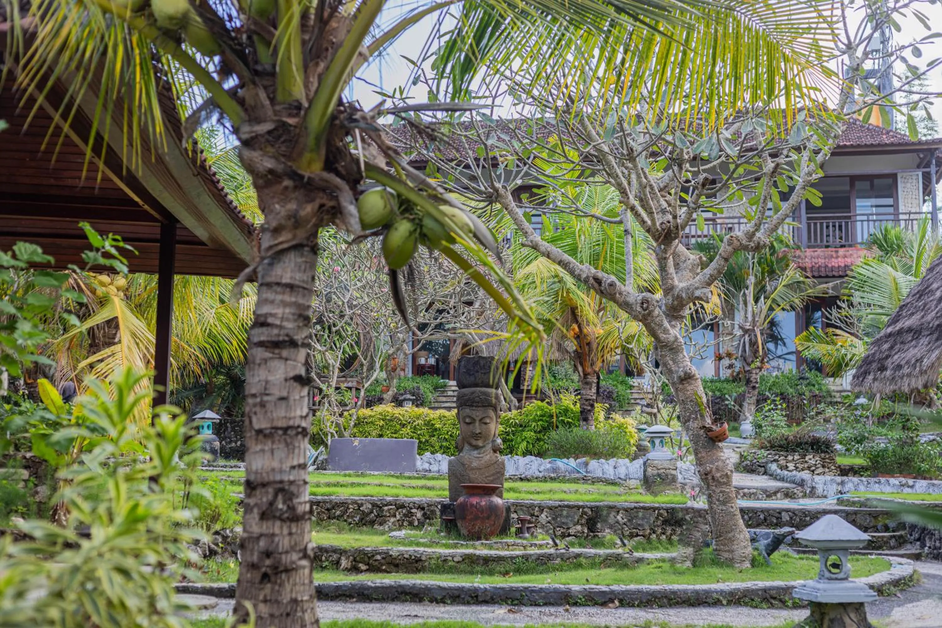 Natural landscape in The Tanis Beach Resort Nusa Lembongan