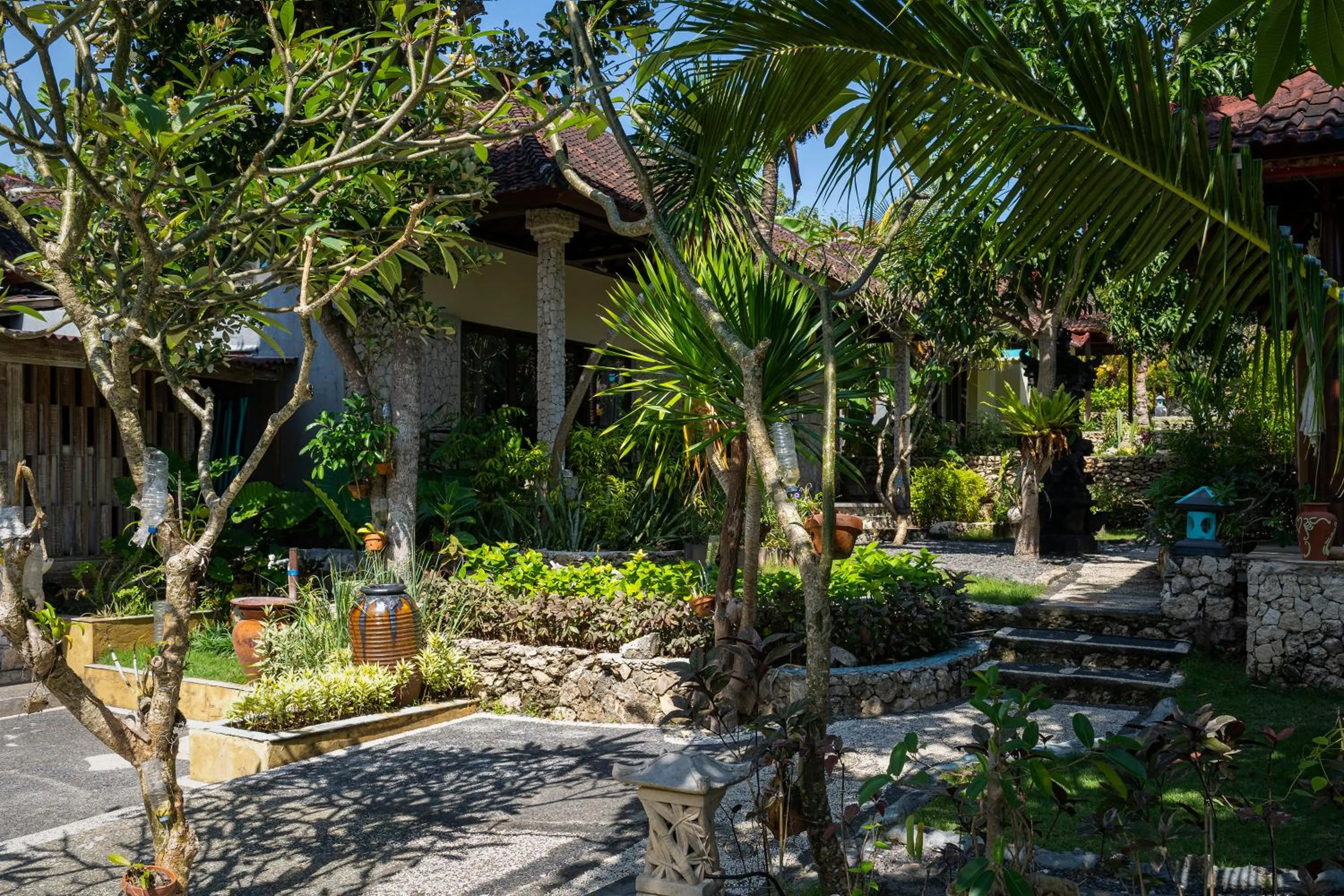 Swimming pool in The Tanis Beach Resort Nusa Lembongan