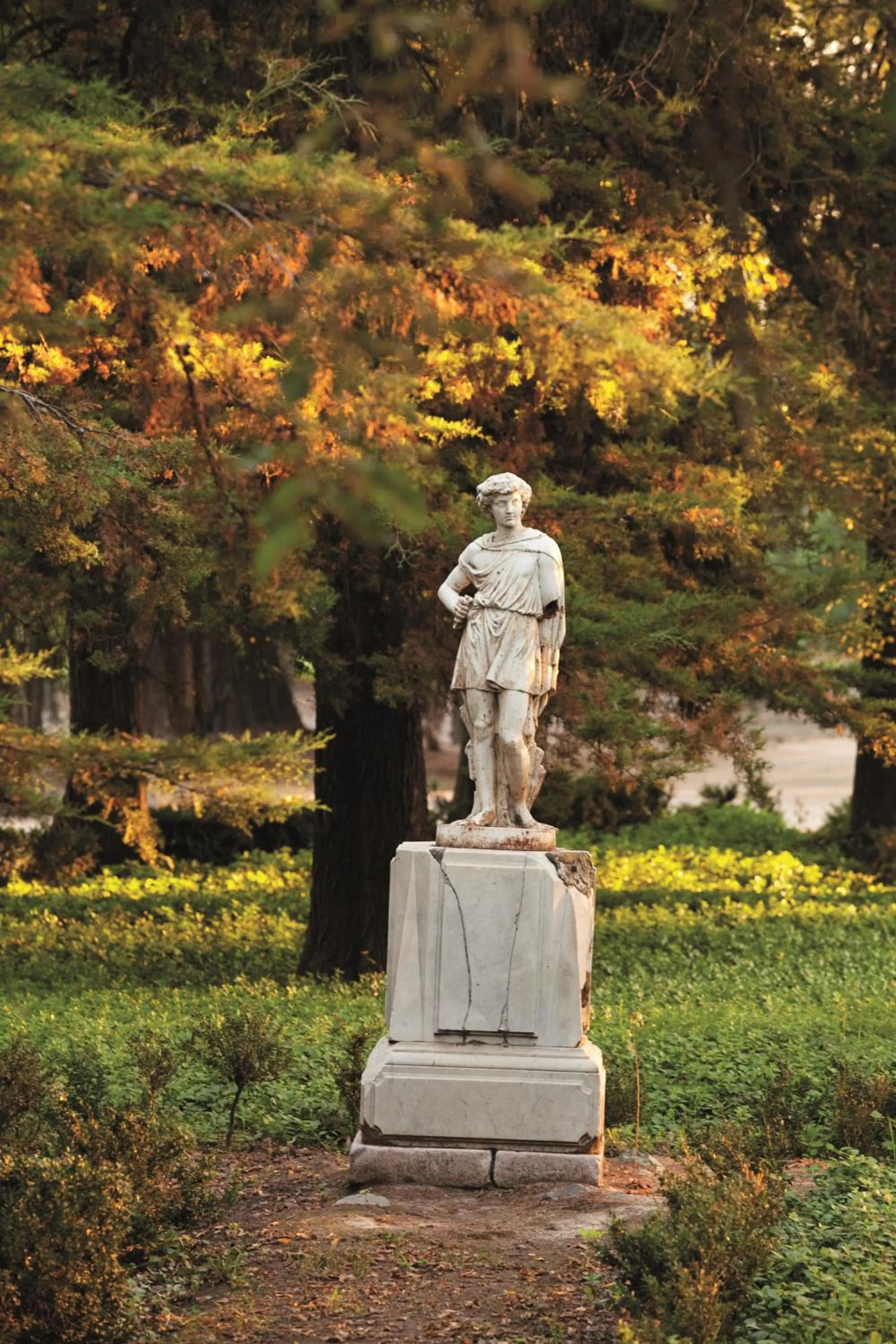 Garden in Hotel Casa Real - Viña Santa Rita