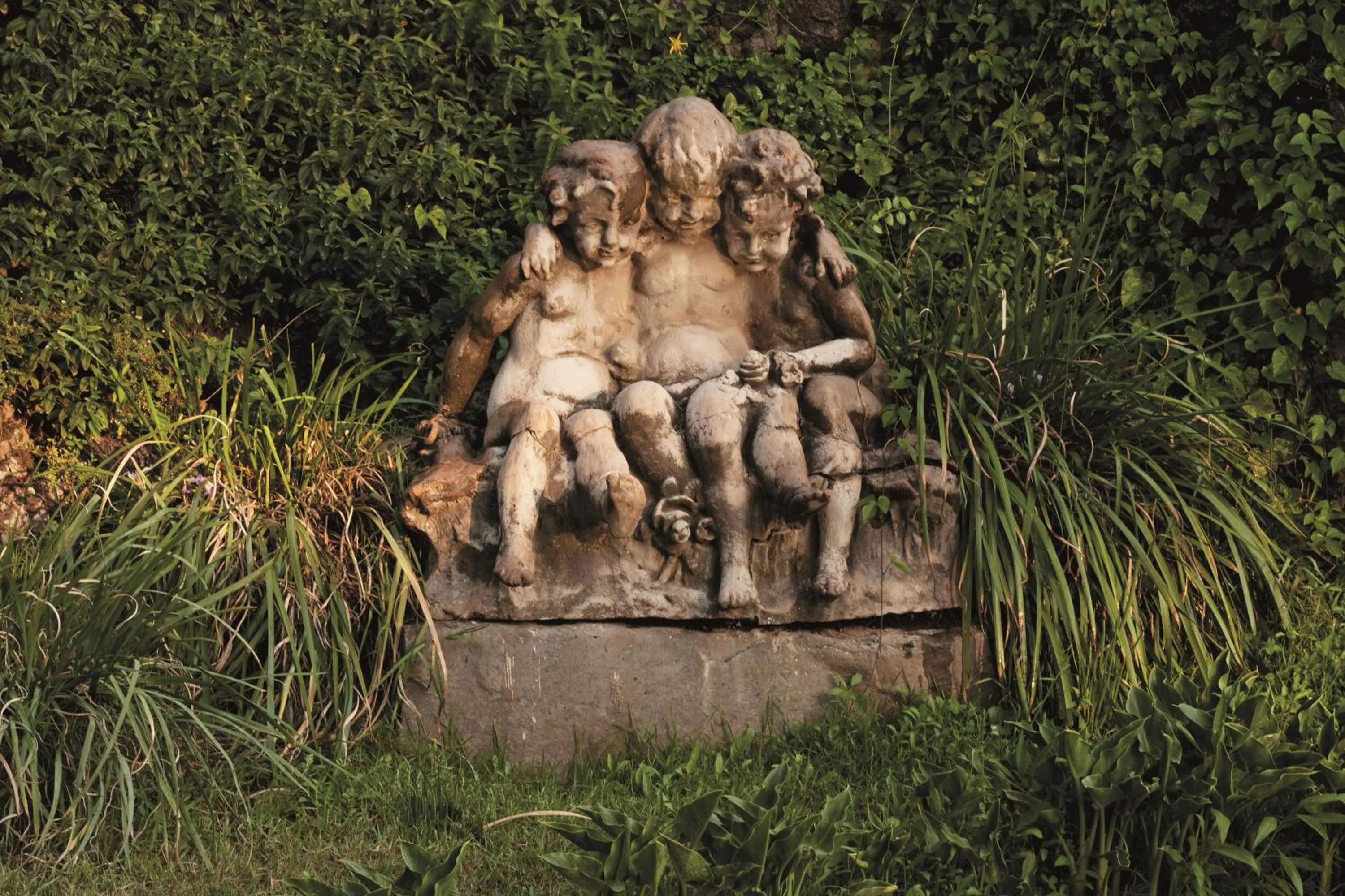 Natural landscape in Hotel Casa Real - Viña Santa Rita