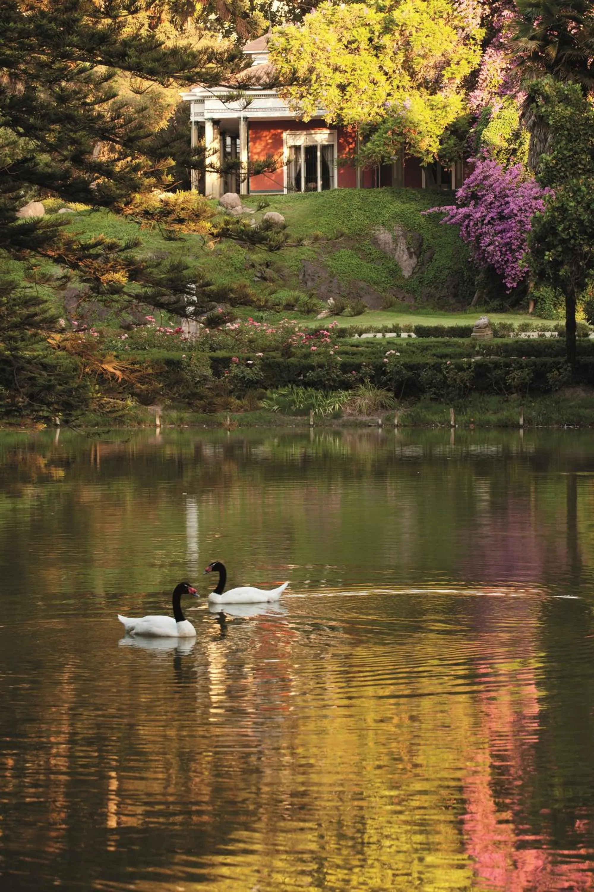 Natural landscape in Hotel Casa Real - Viña Santa Rita