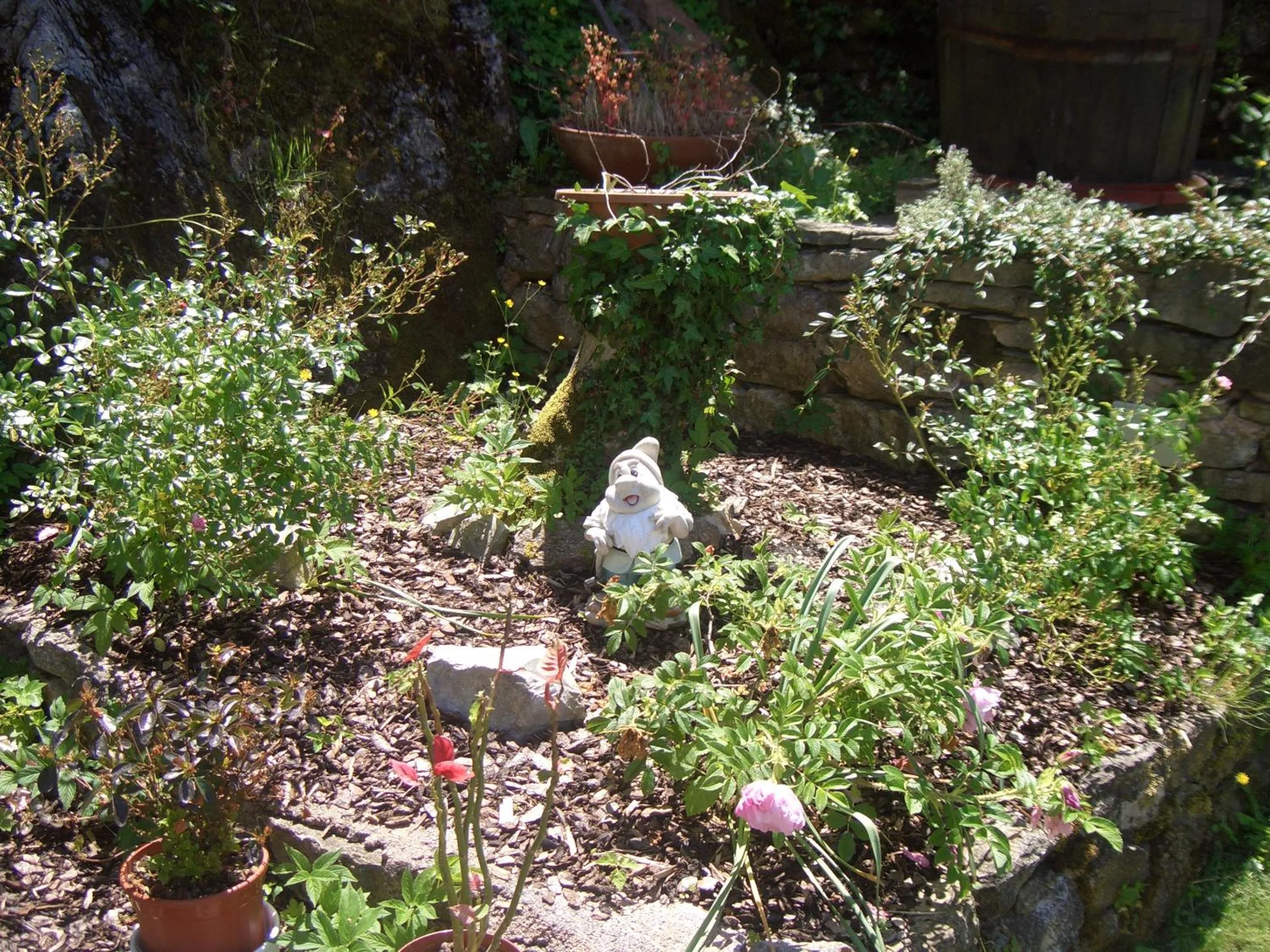 Facade/entrance in Hotel Paese Corvara
