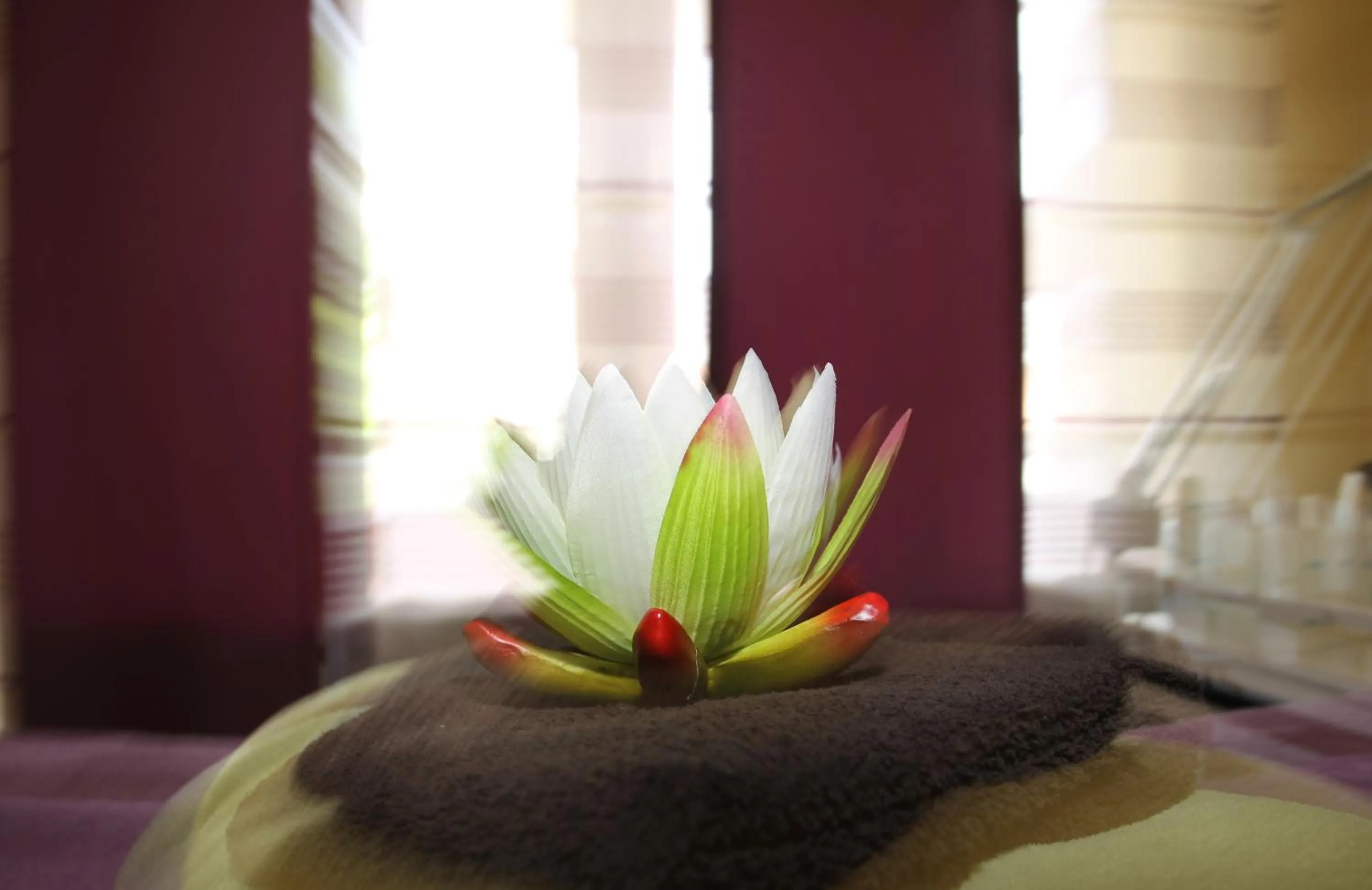 Massage in Hotel & Gasthof Zur Linde