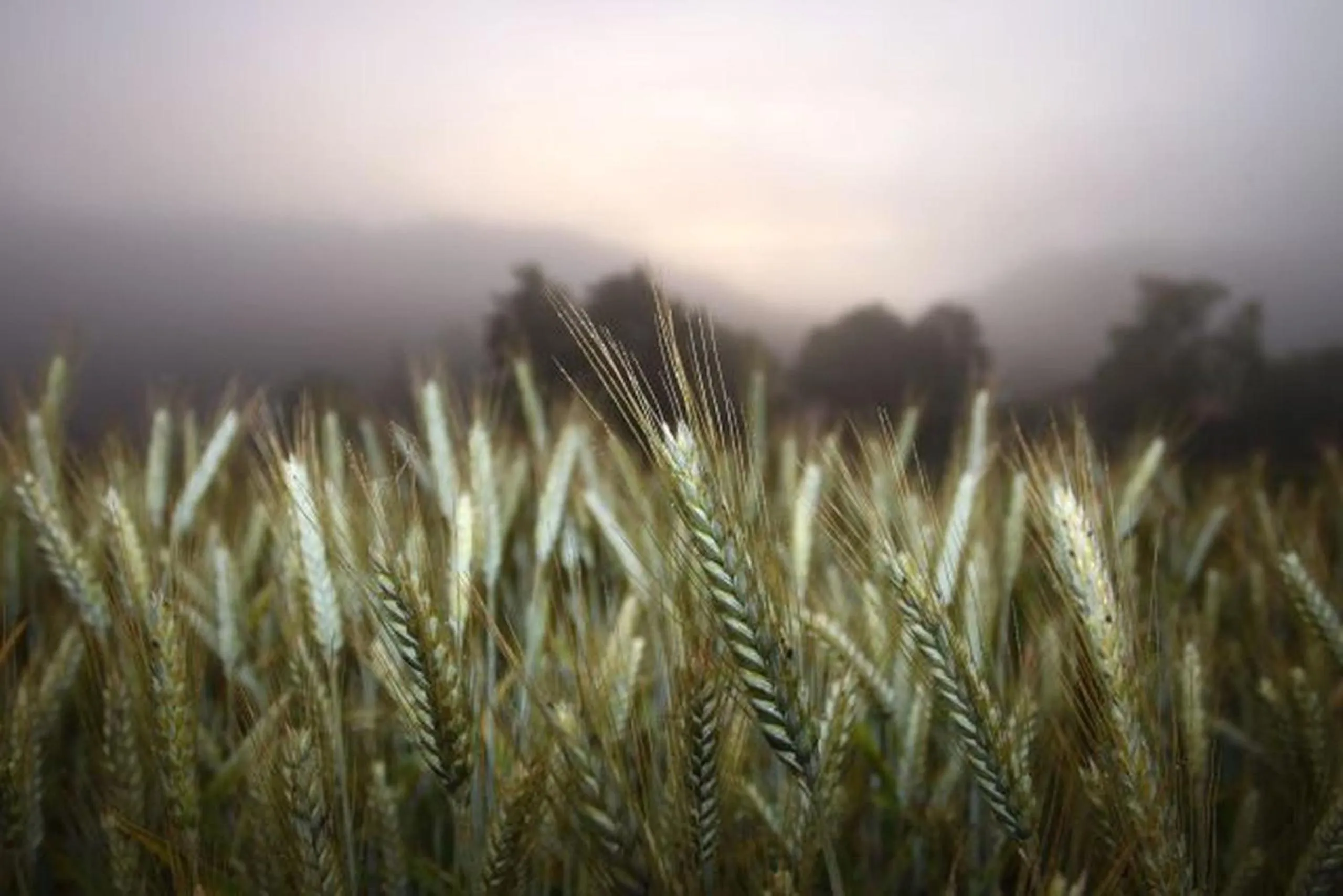 View (from property/room) in Hotel & Gasthof Zur Linde