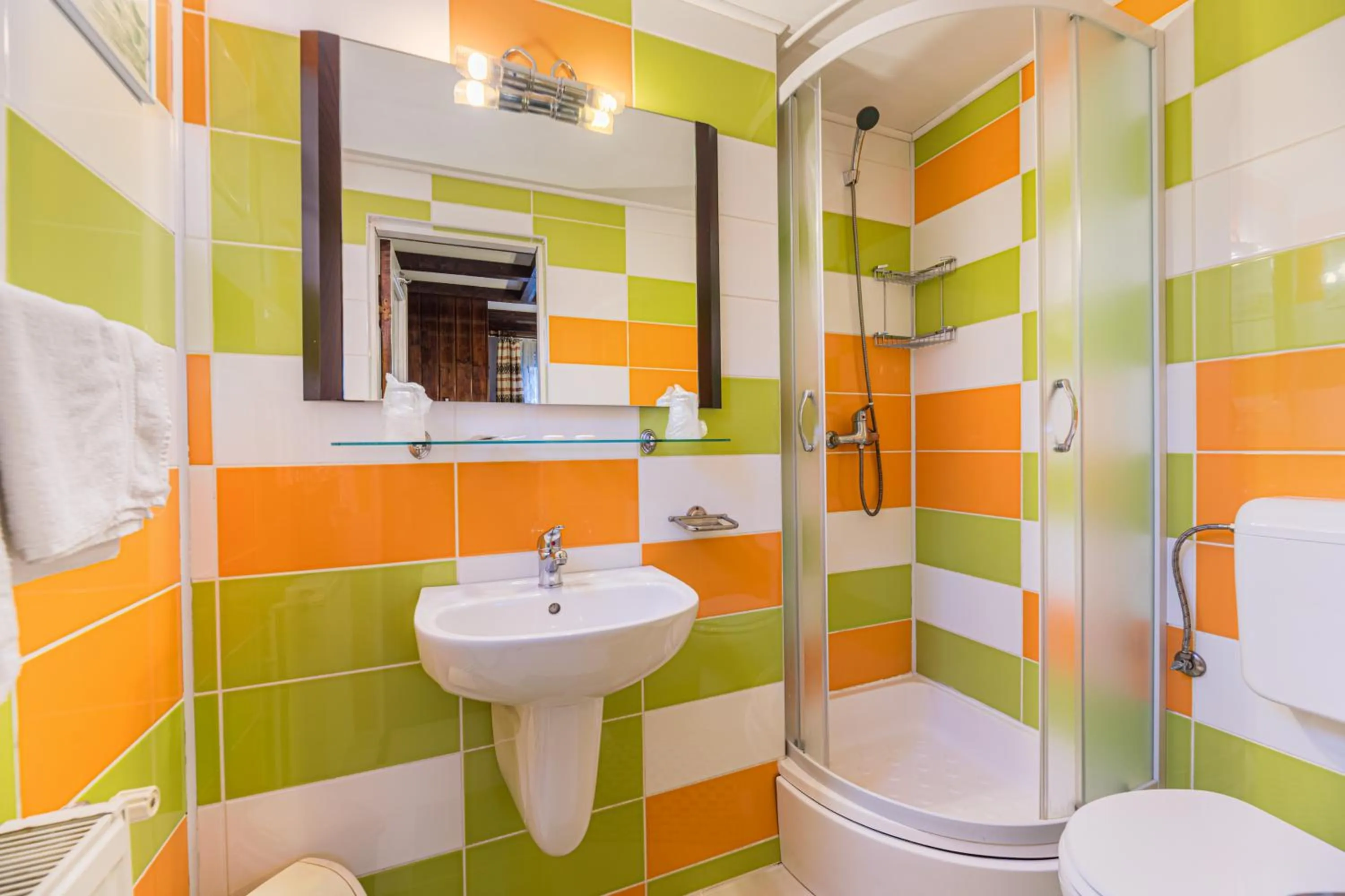 Shower in Pension Casa Bradul