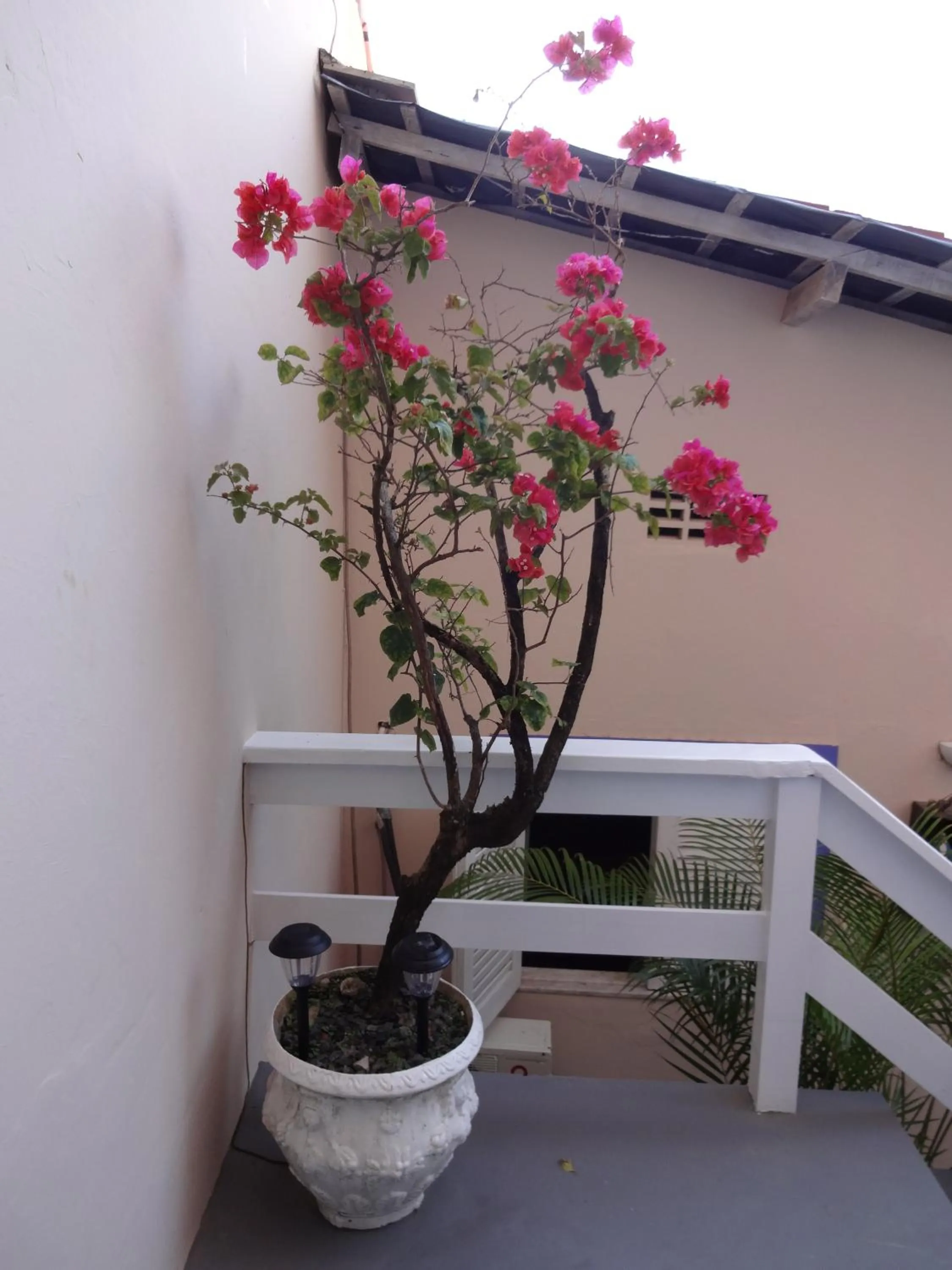 Decorative detail in Pousada Via Brasil