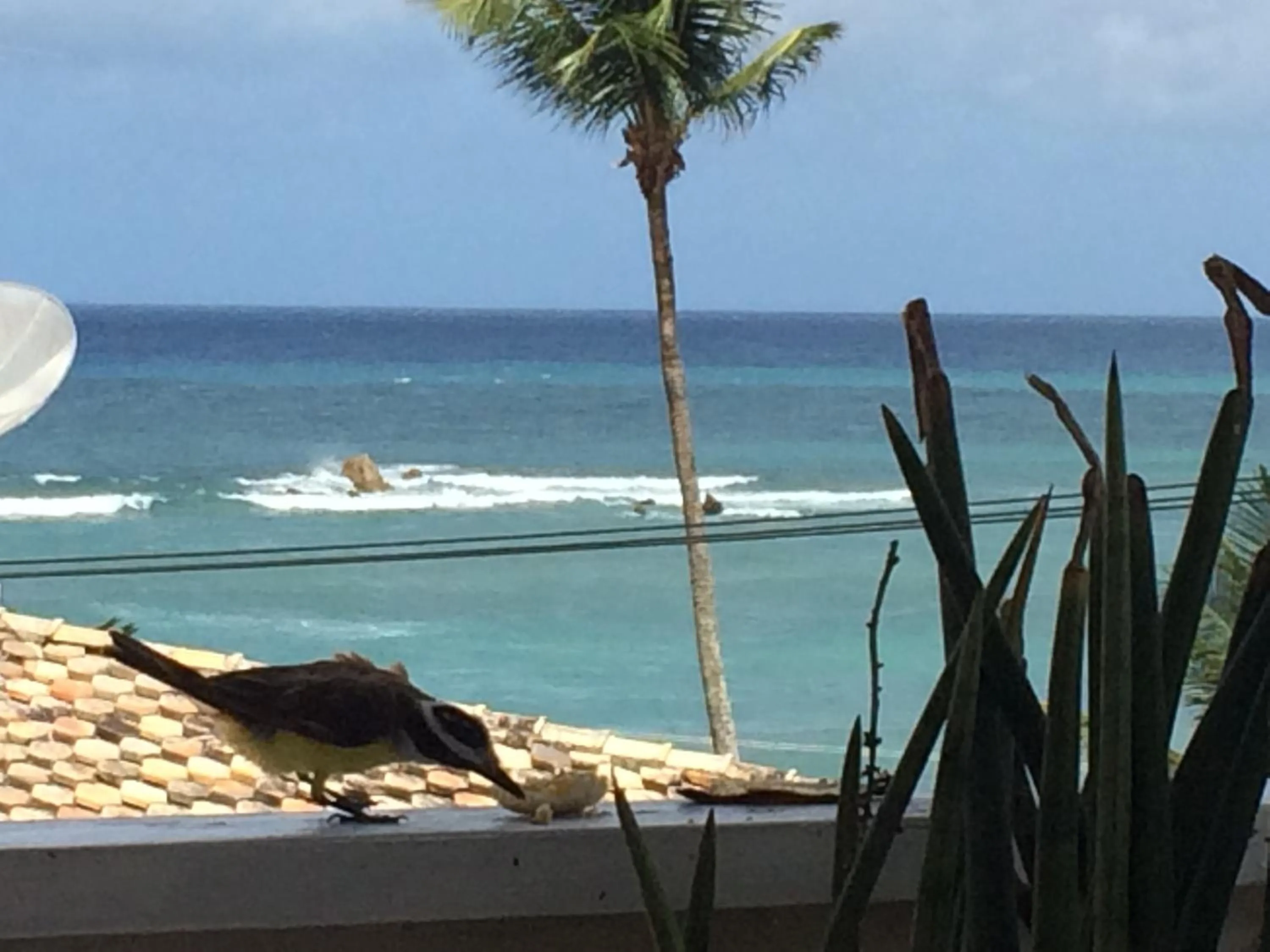 Dining area in Pousada Via Brasil