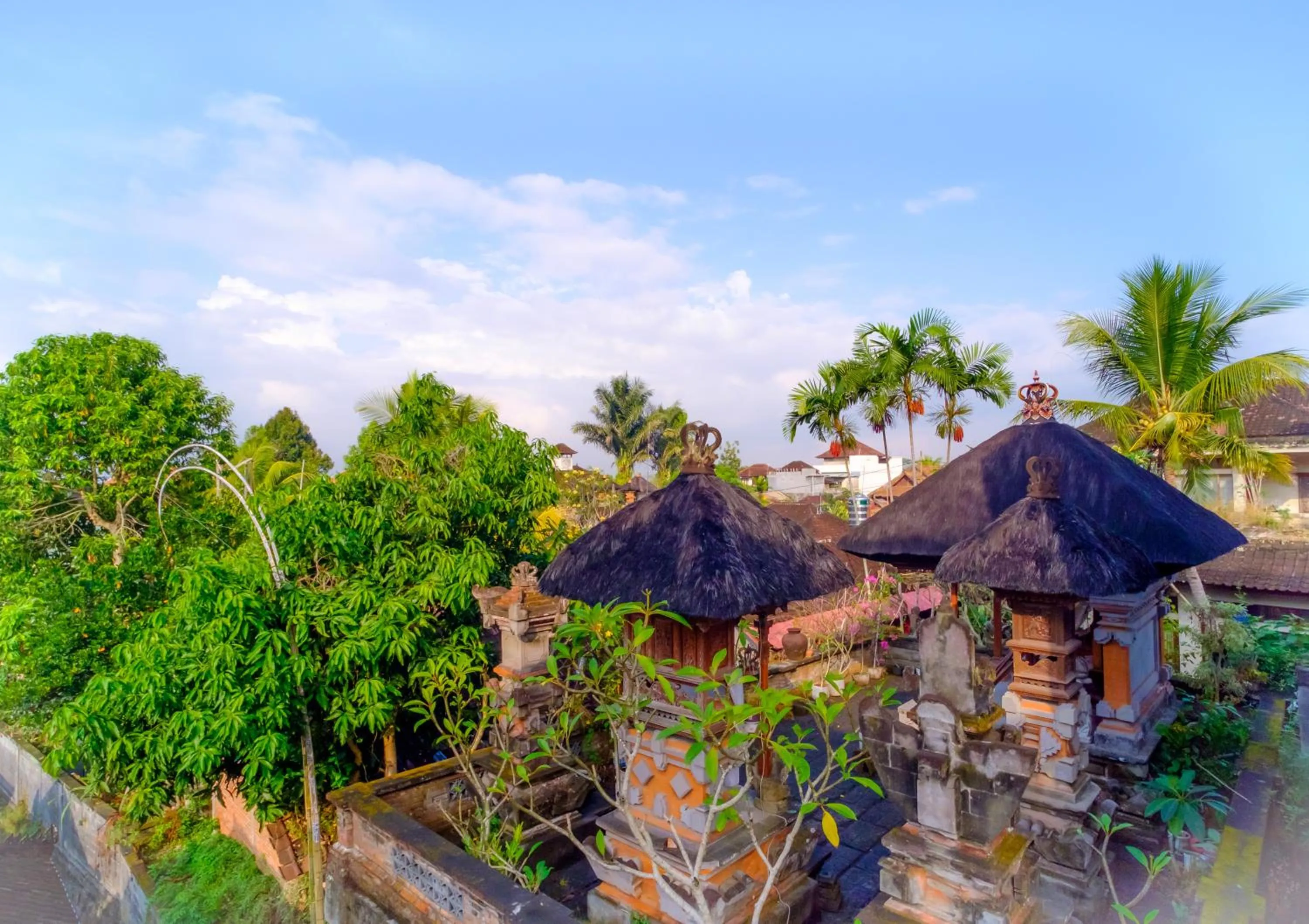 Day in Bali Ubud Harmony