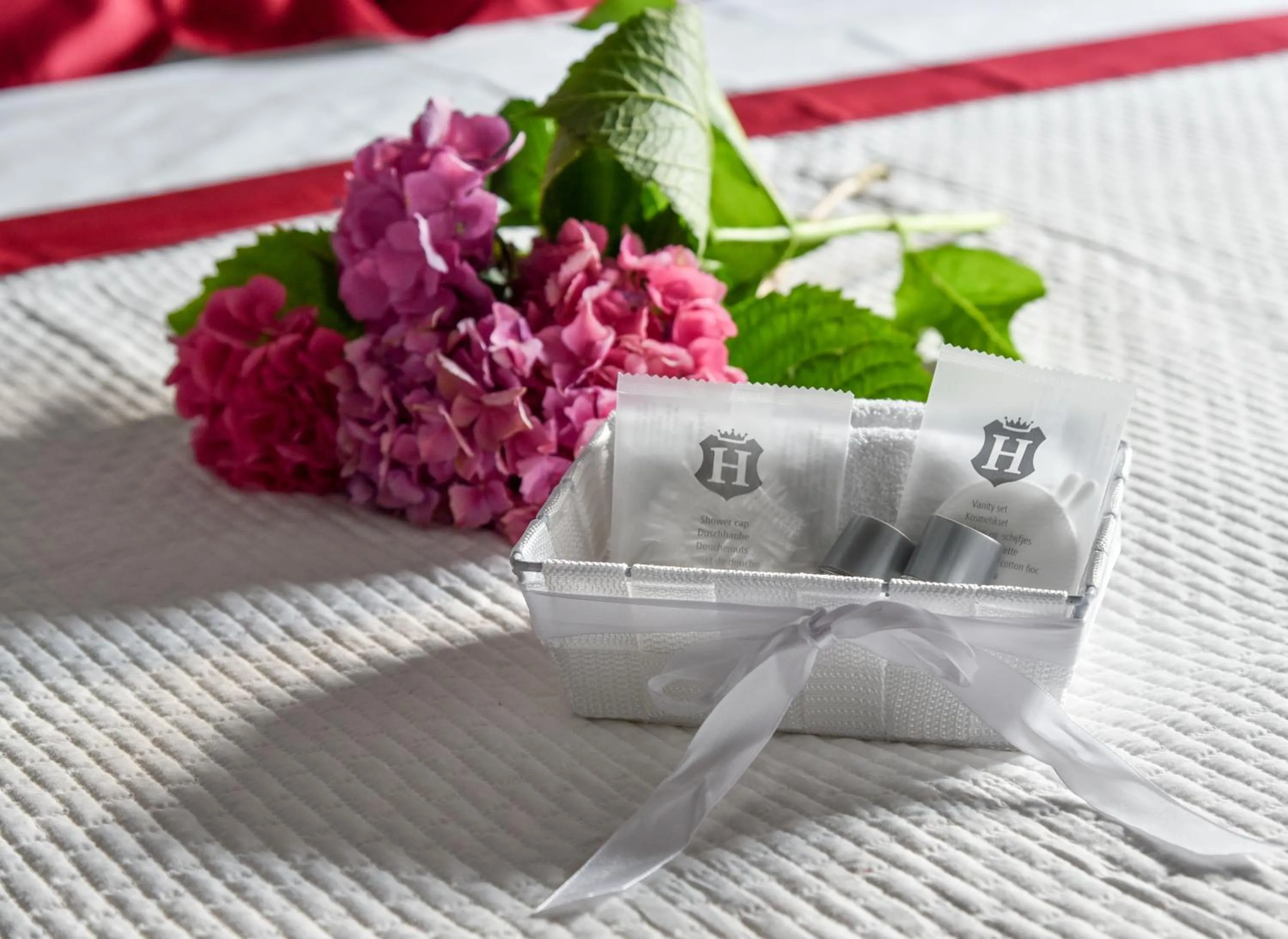 Other in La terrazza sulle vigne B&B