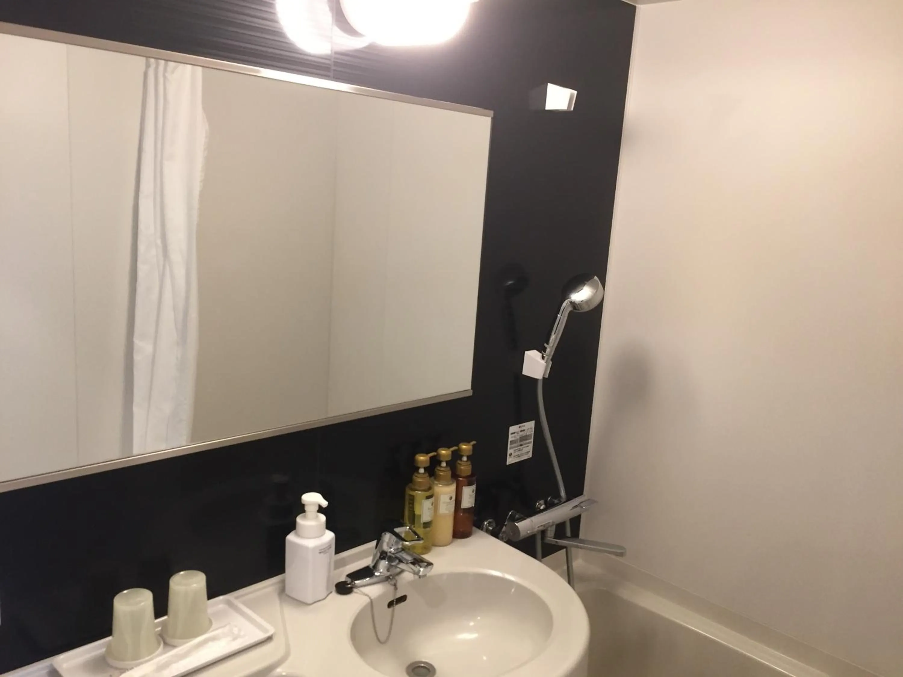  in HOTEL MYSTAYS Kamata