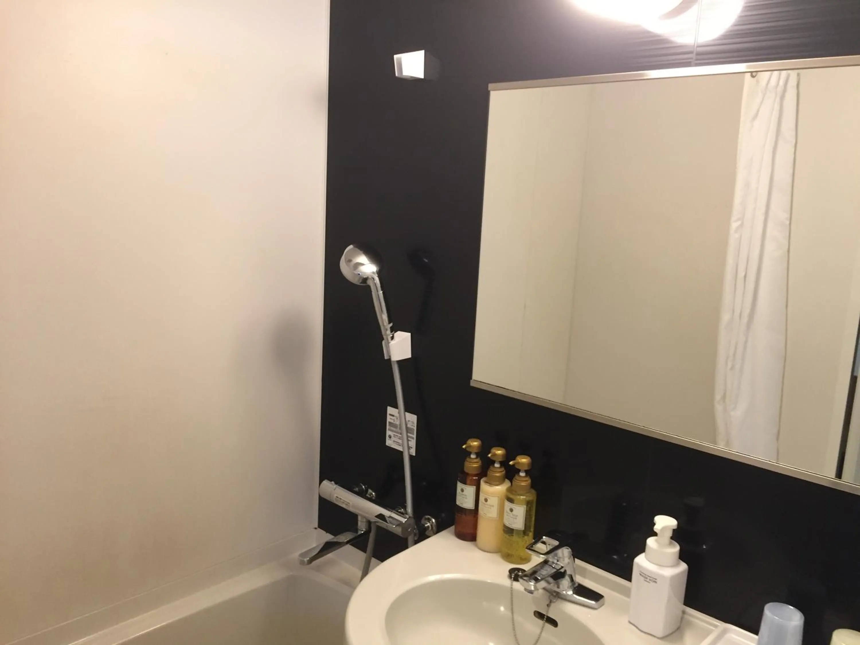  in HOTEL MYSTAYS Kamata