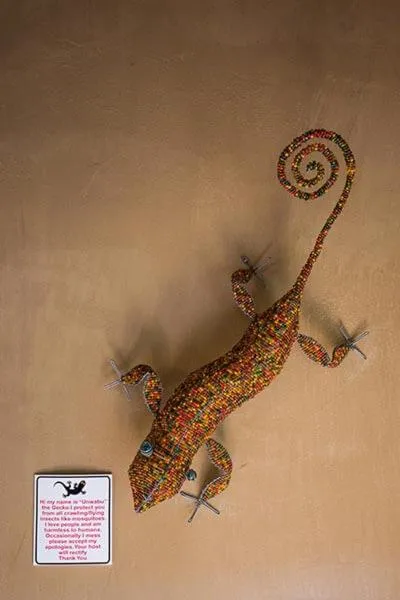 Decorative detail in AmaZulu Lodge