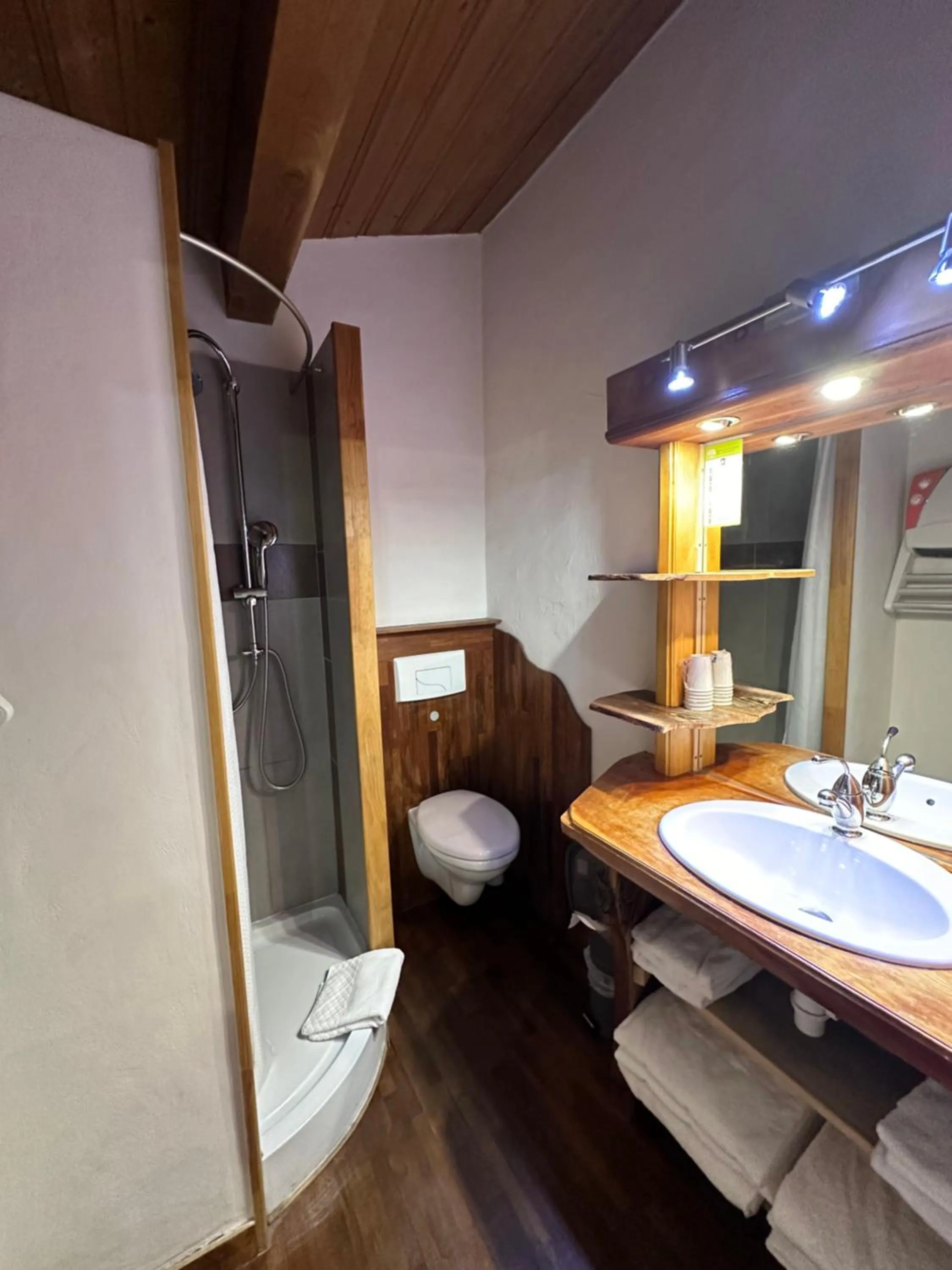 Shower in Fontaine du Mont Blanc Hotel & Spa