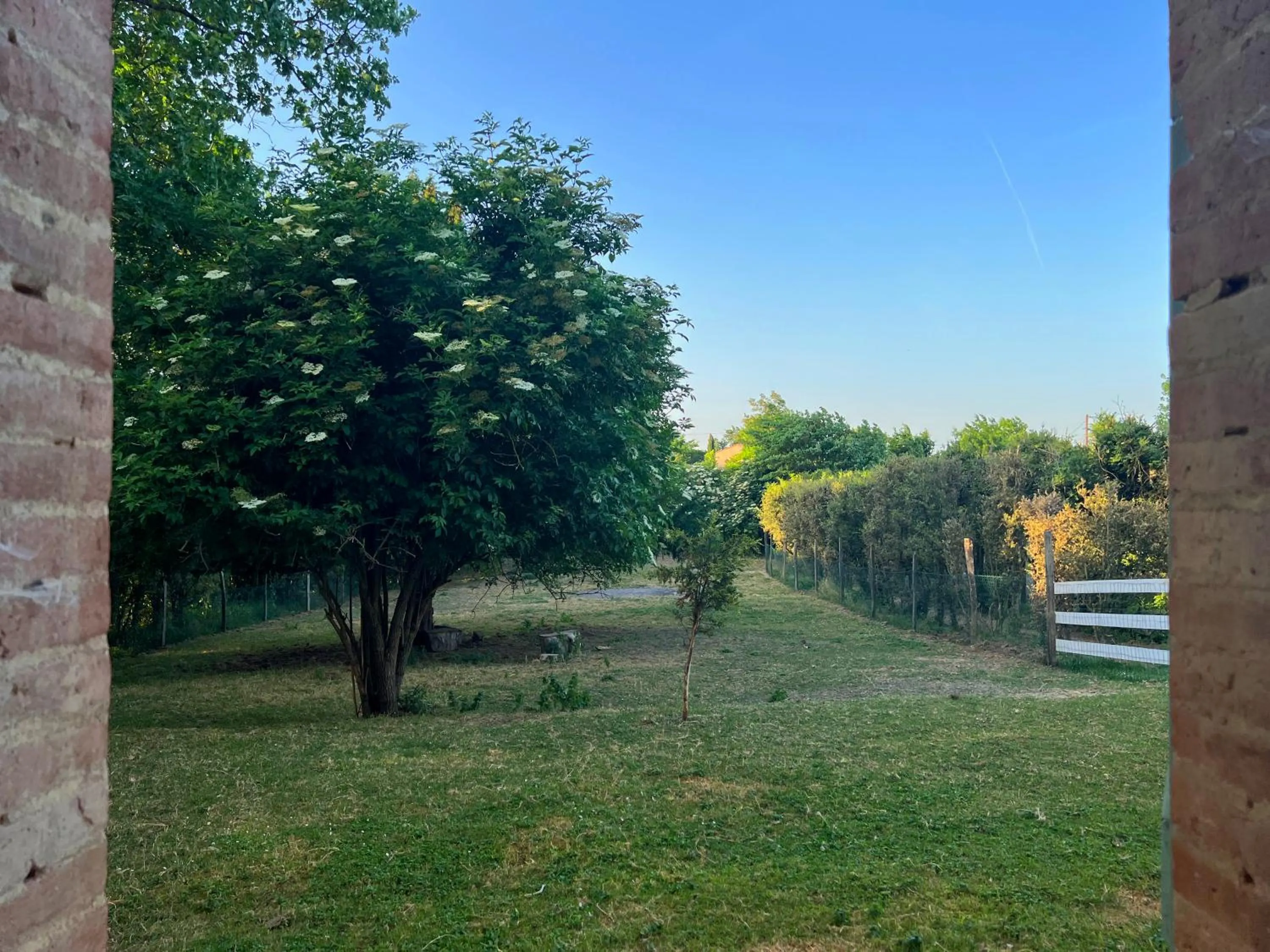 Garden view in residence la Salamandre kamers