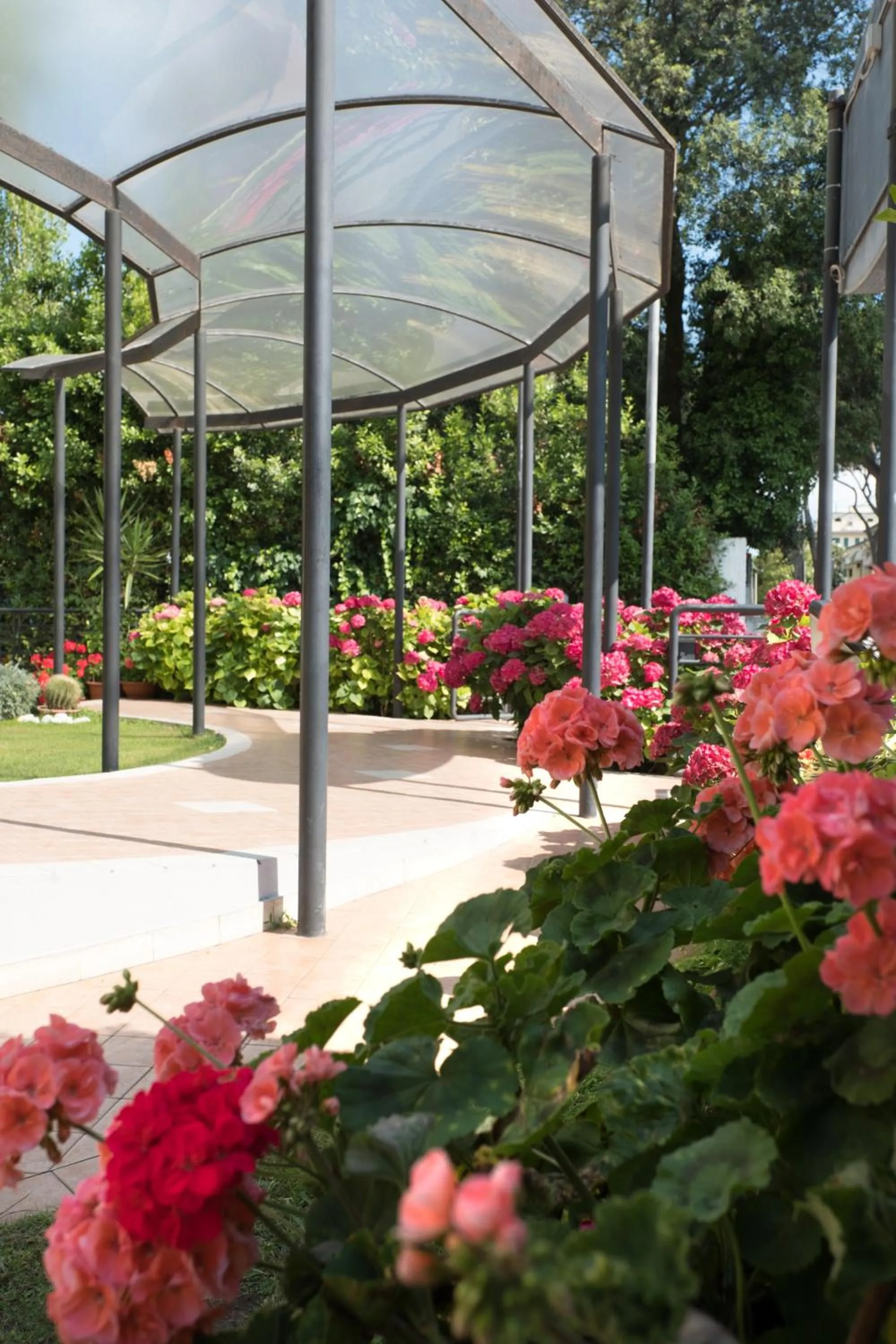 Patio in Hotel Maita