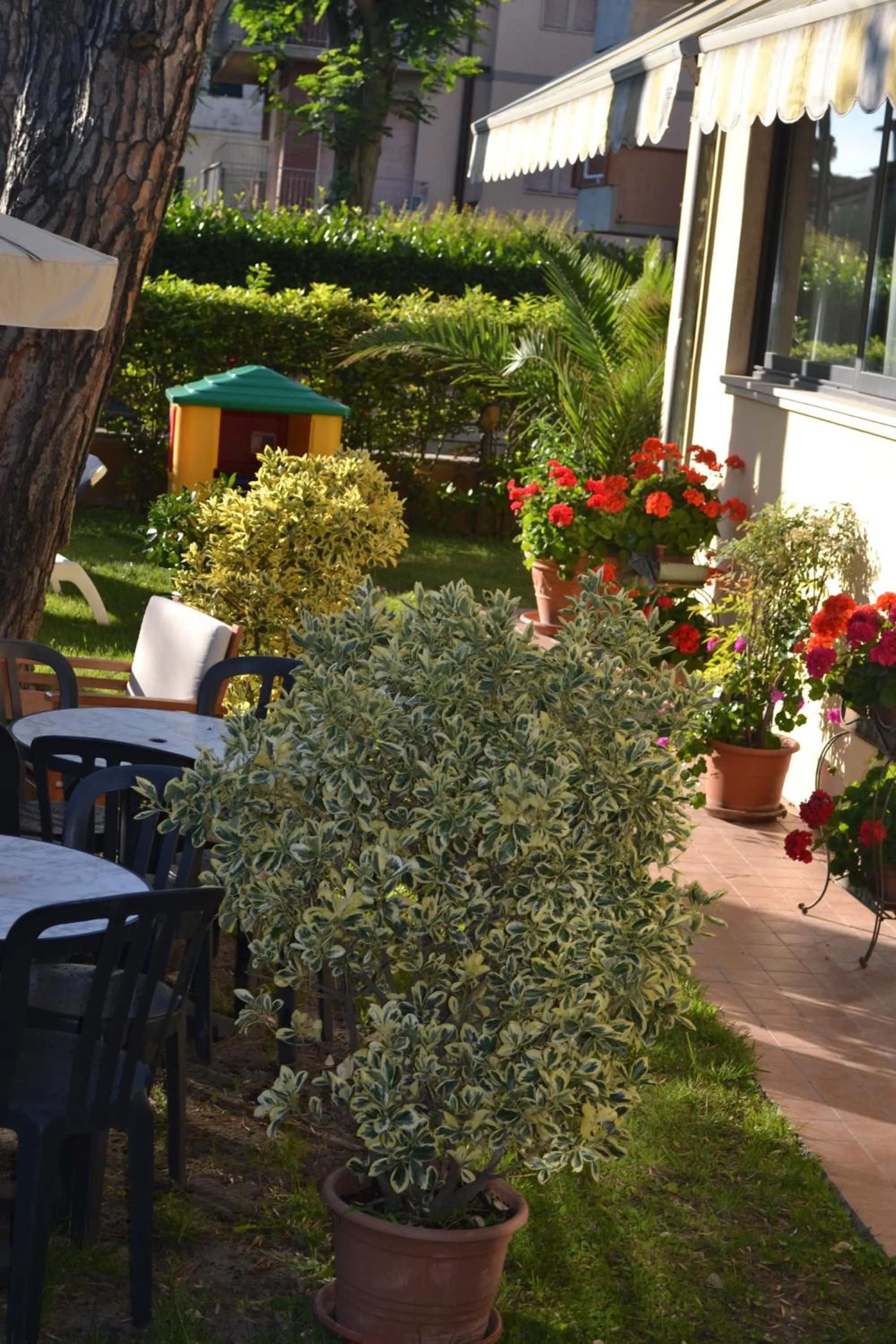 Patio in Hotel Maita